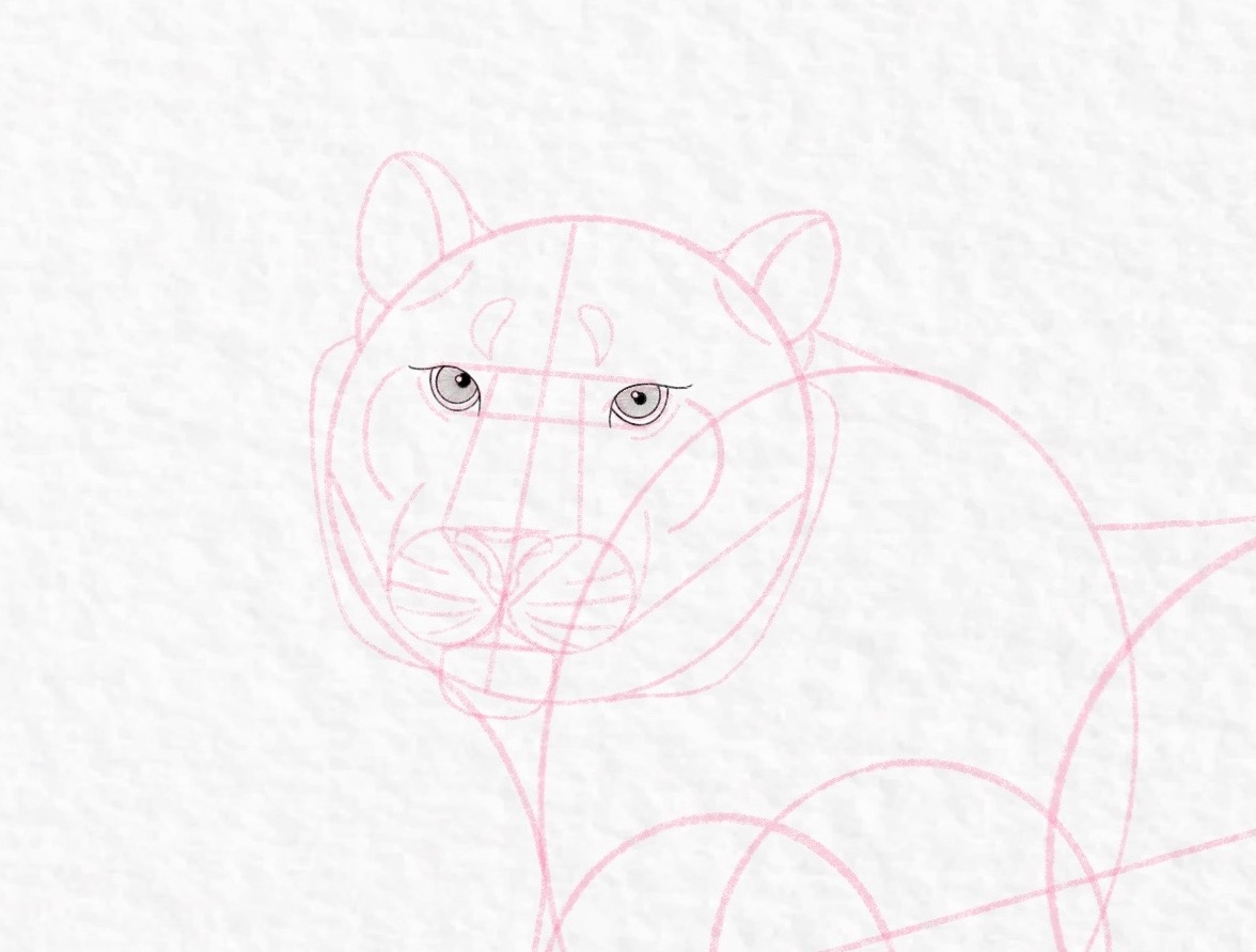 How to draw a tiger, step by step tutorial - step 26b, cropped