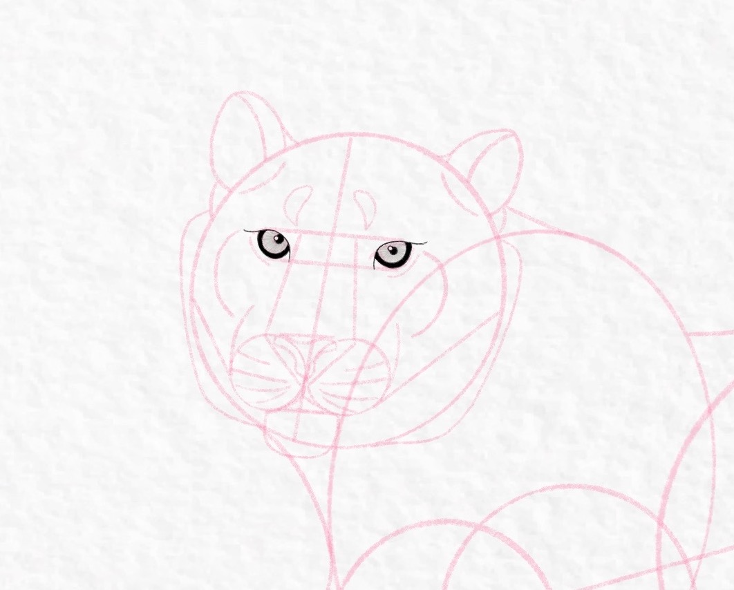 How to draw a tiger, step by step tutorial - step 27, cropped