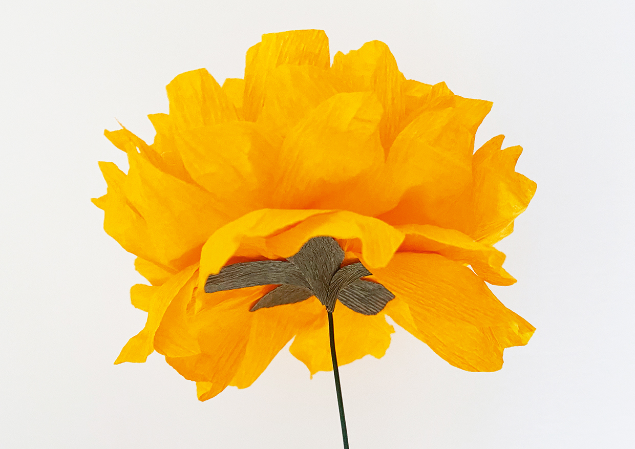 How to make tissue paper flowers step 16