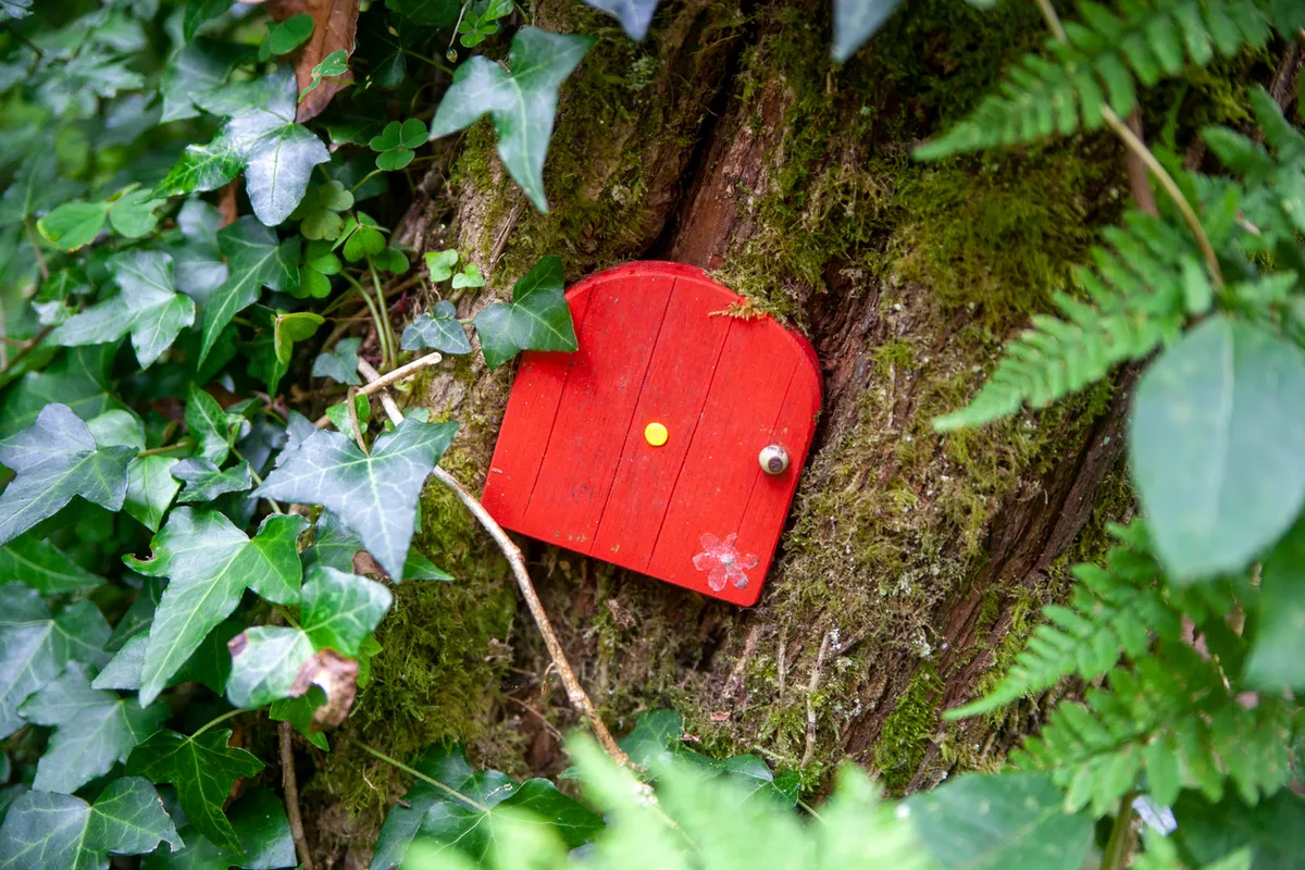 Little red fairy doors on a tree branch