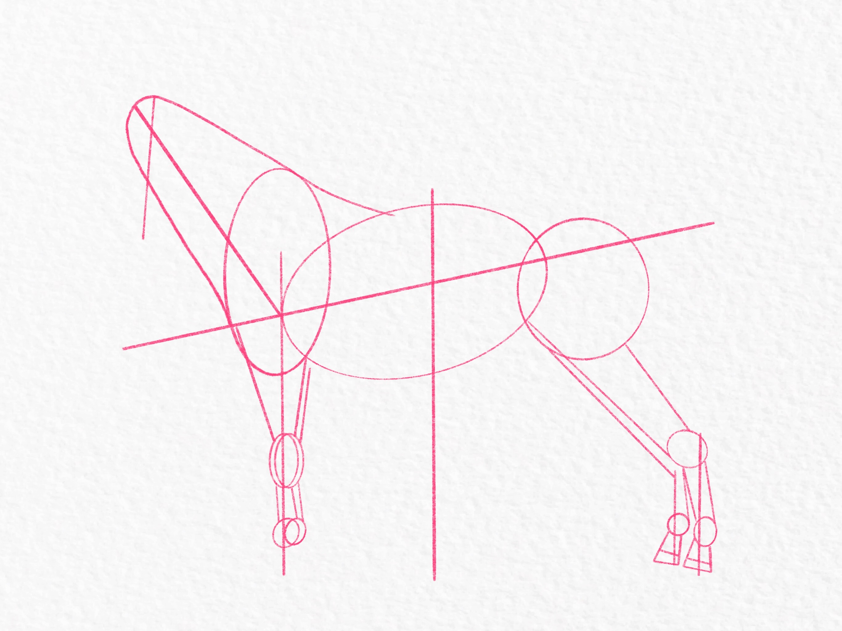 How to draw a horse - step 17