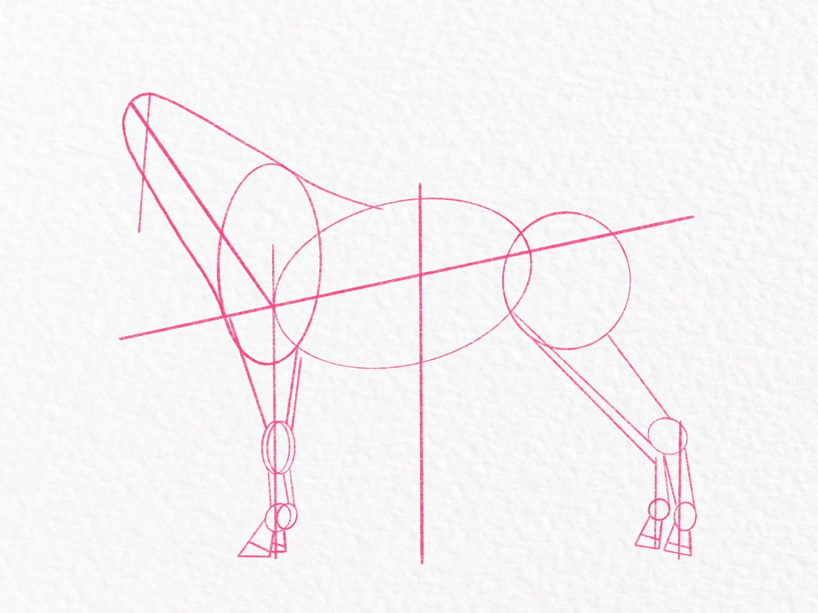 How to draw a horse - step 18