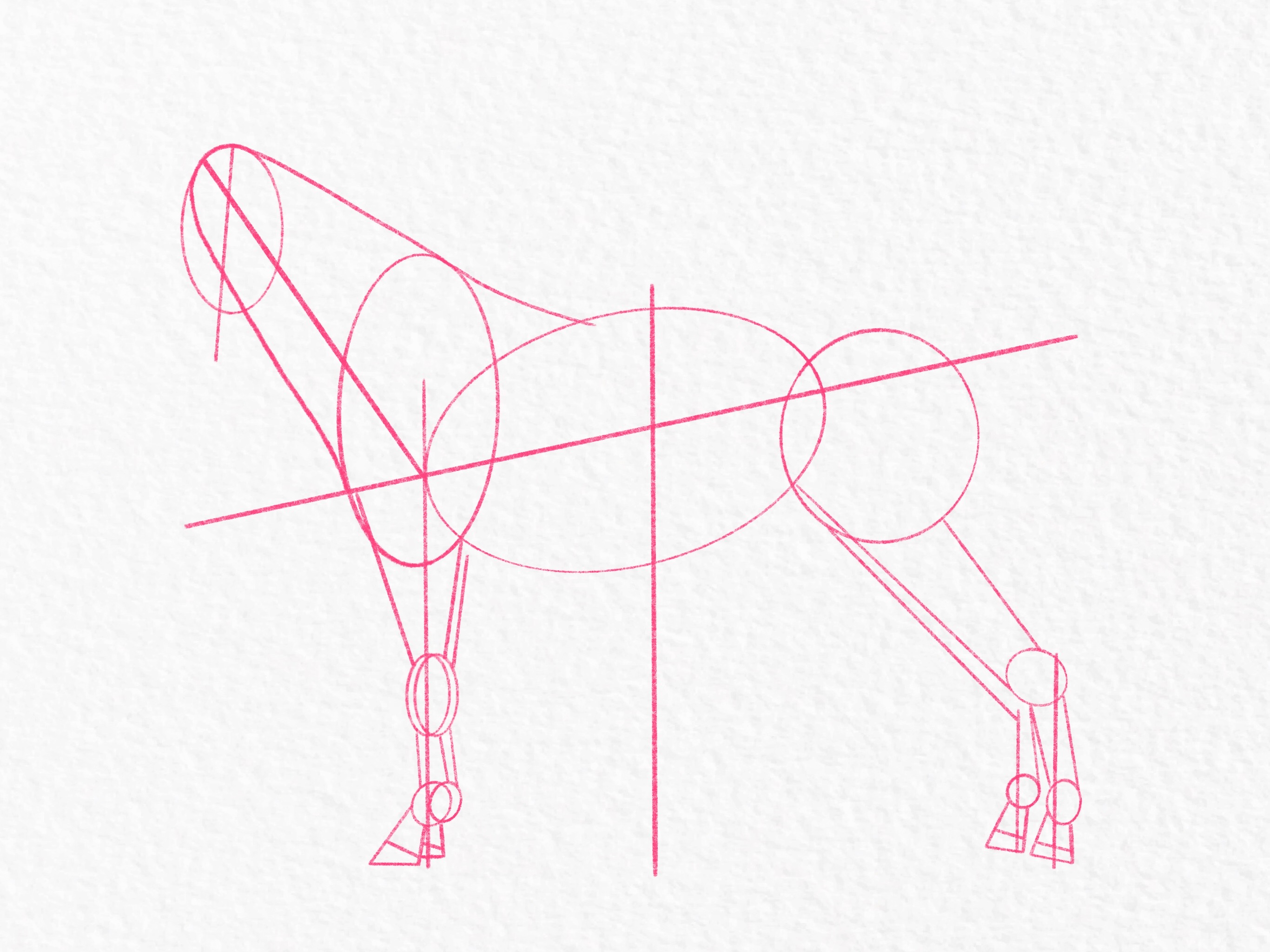 Image of Drawing Of Running Horse Outline Vector Illustration-TC484640-Picxy