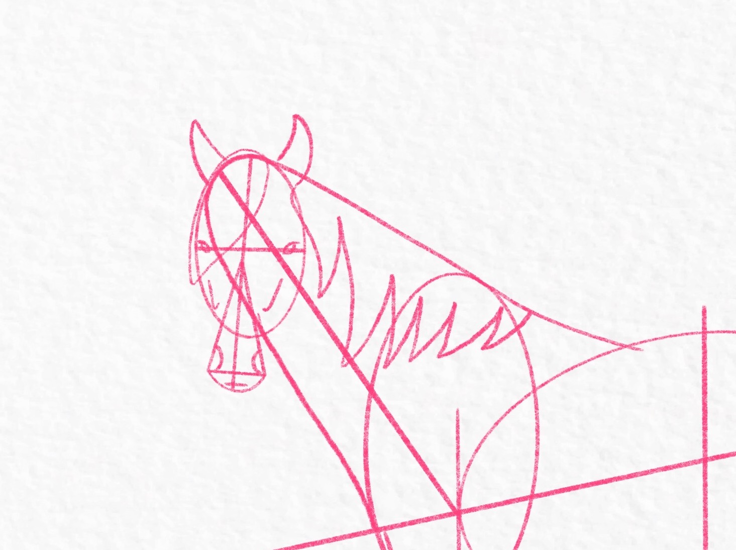 How to draw a horse - step 26