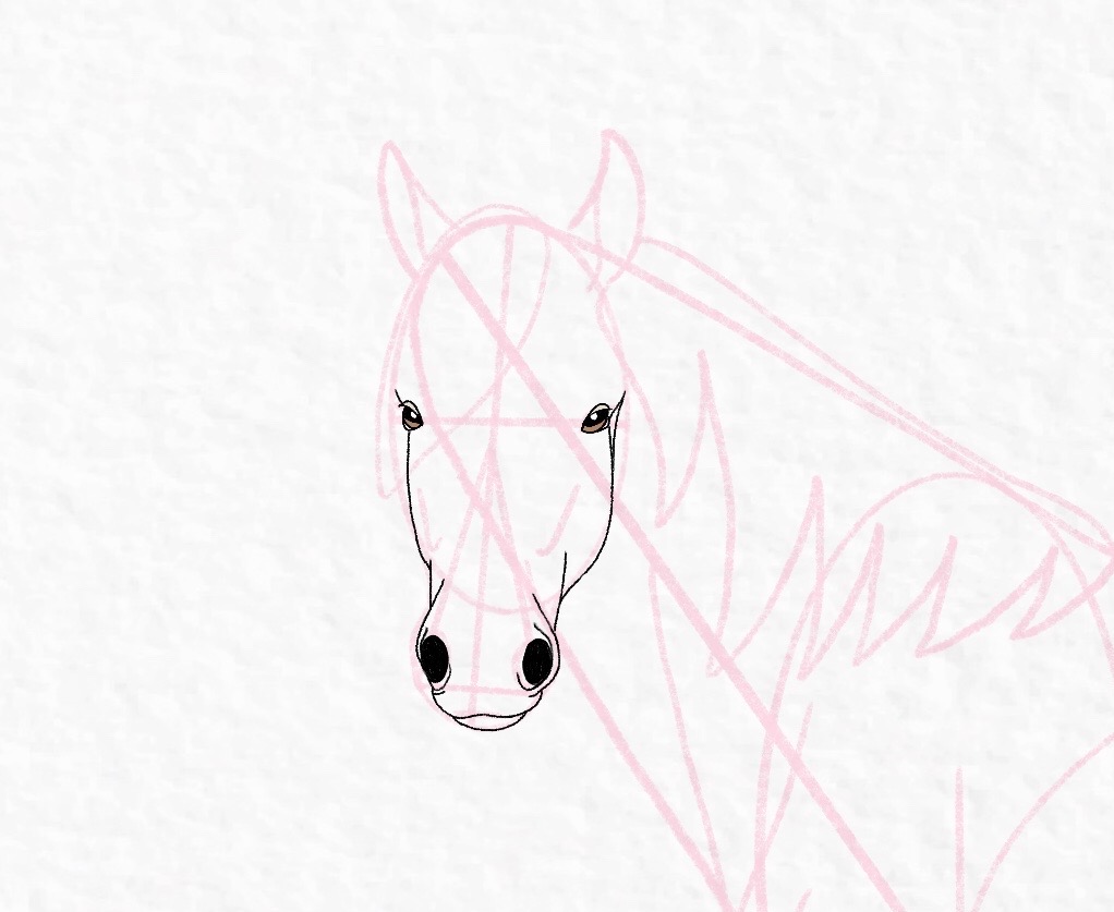 How to draw a horse - step 34