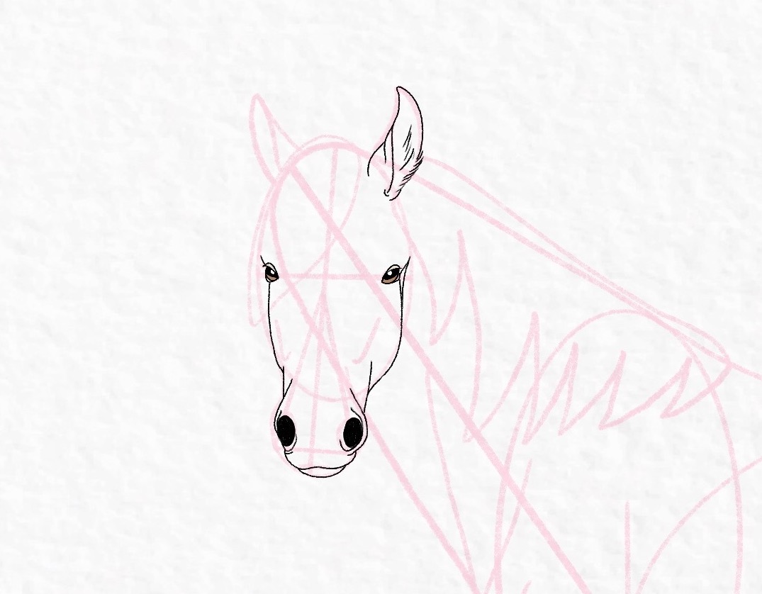 How to draw a horse - step 35
