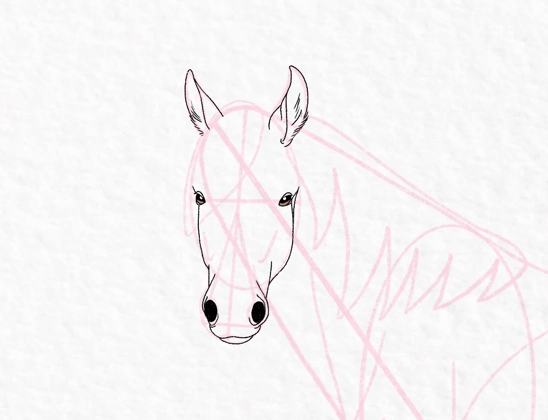 EASY HOW TO DRAW A HORSE HEAD FRONT VIEW | Horse Face Drawing - YouTube