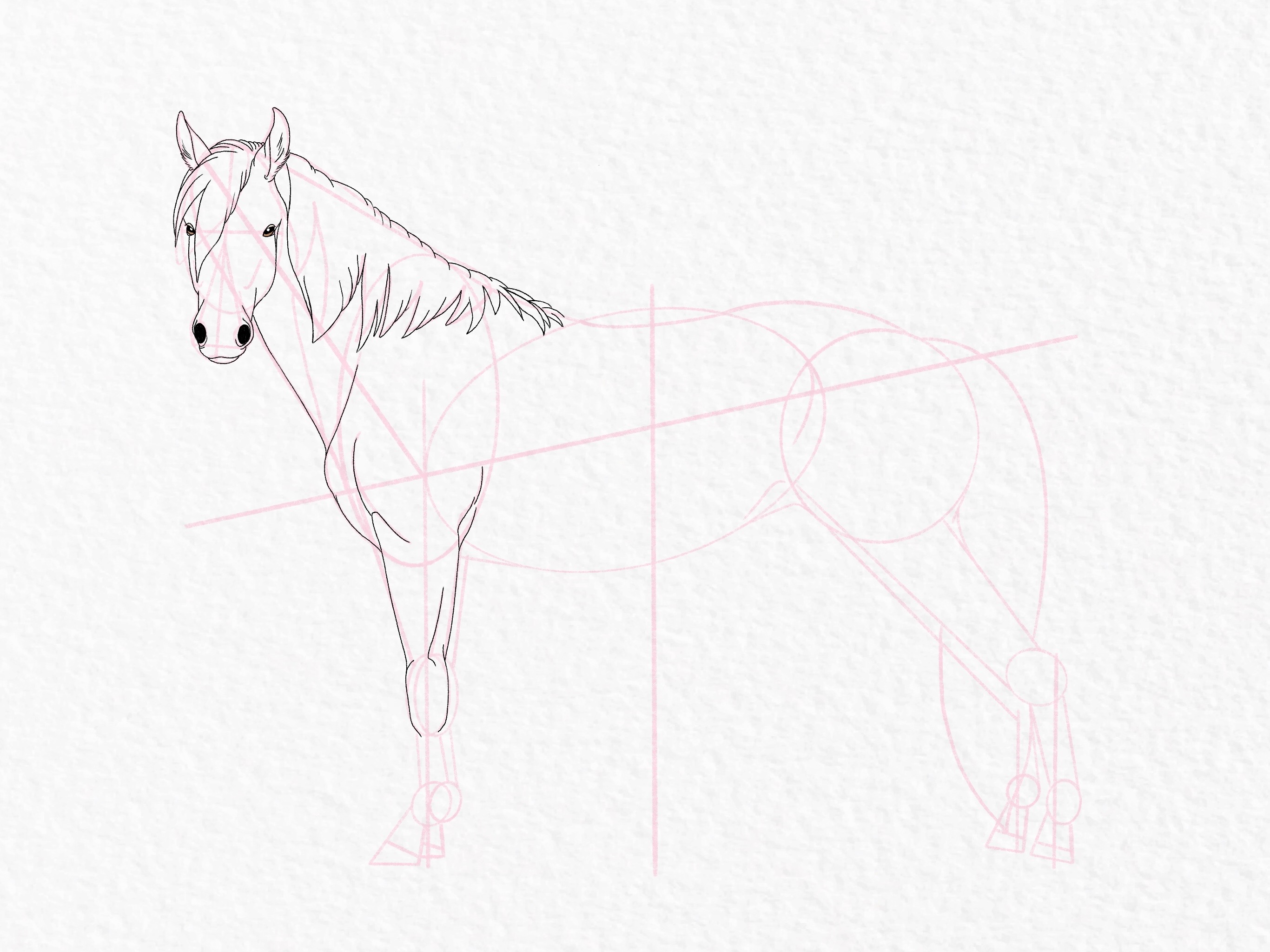 How to draw a horse - step 39