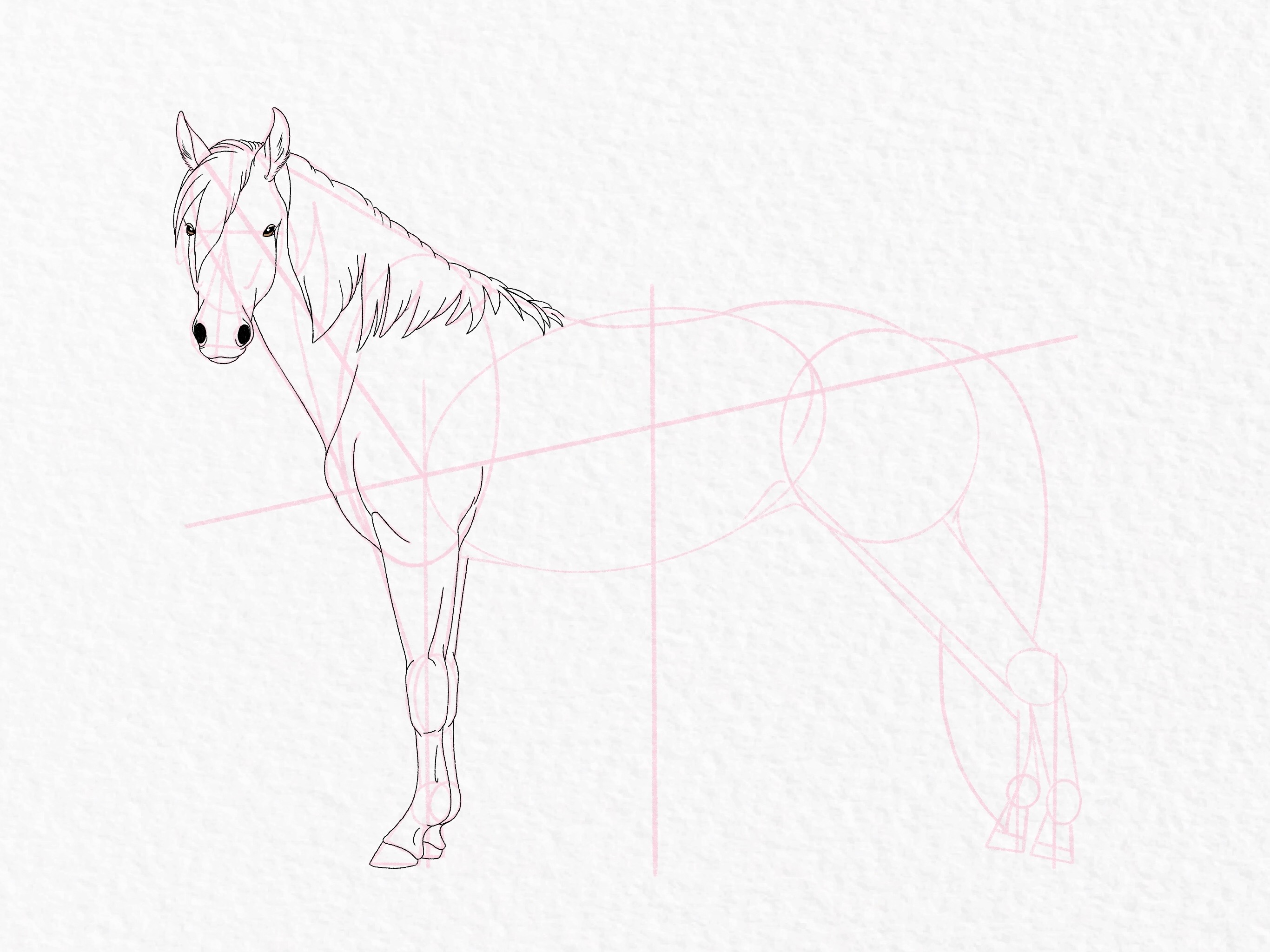 How to draw a horse - step 41