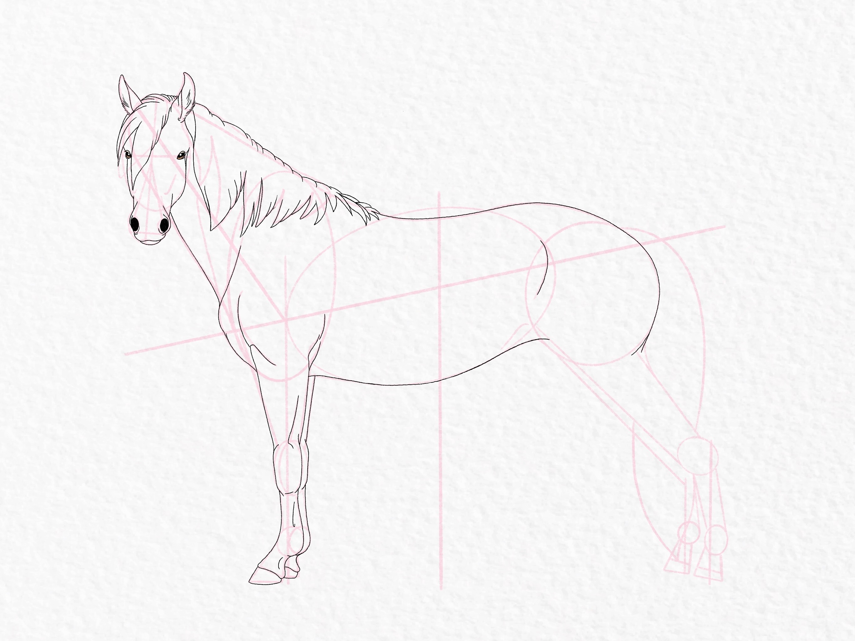 How to draw a horse - step 42