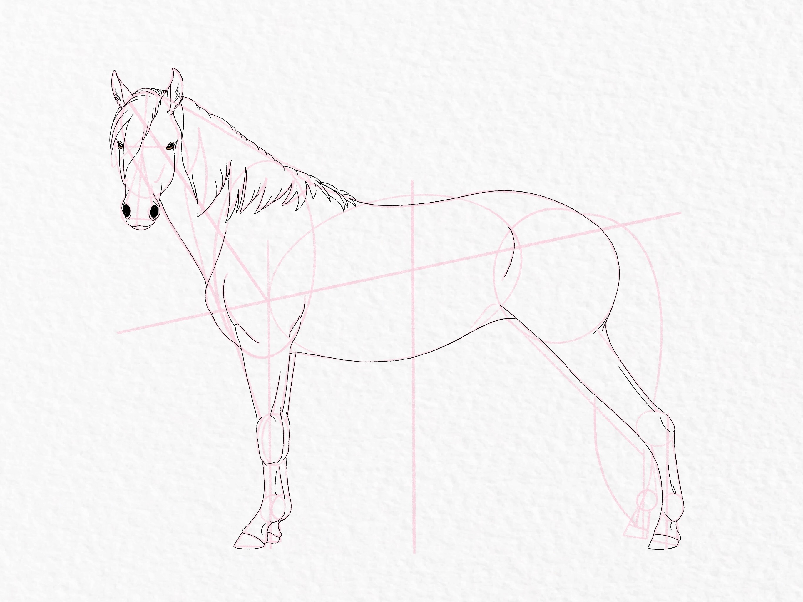 How to draw a horse - step 43