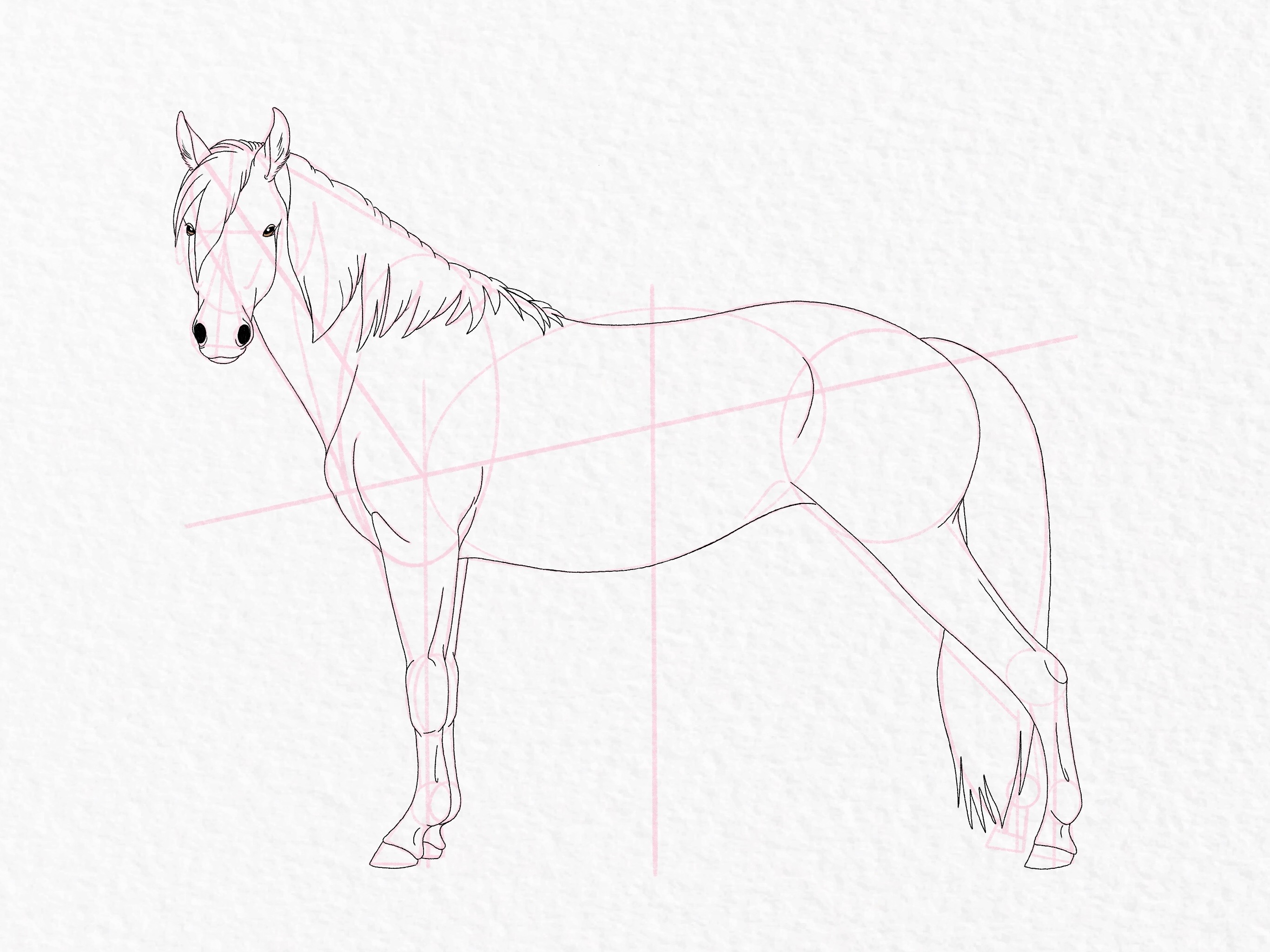 How to draw a horse - step 44