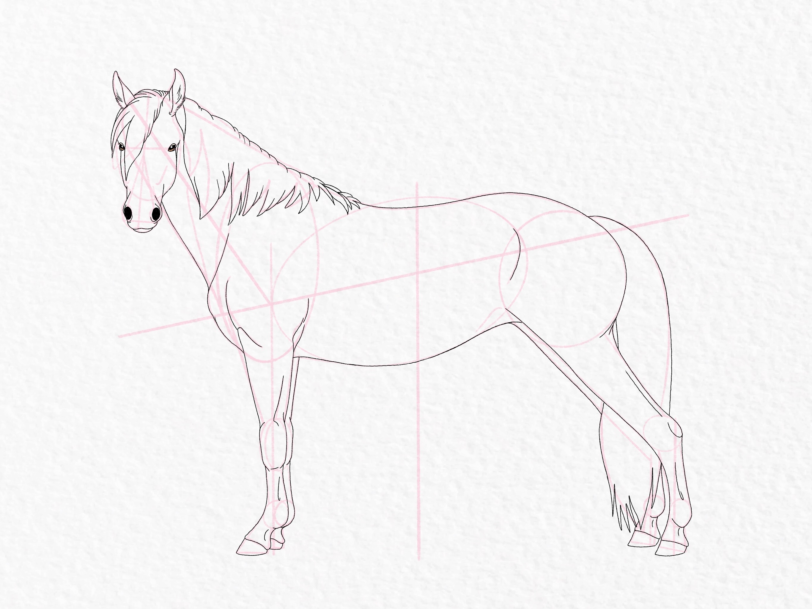 1330015111 Pommel 1 - Horse Drawing With Saddle, HD Png Download -  800x670(#3657659) - PngFind