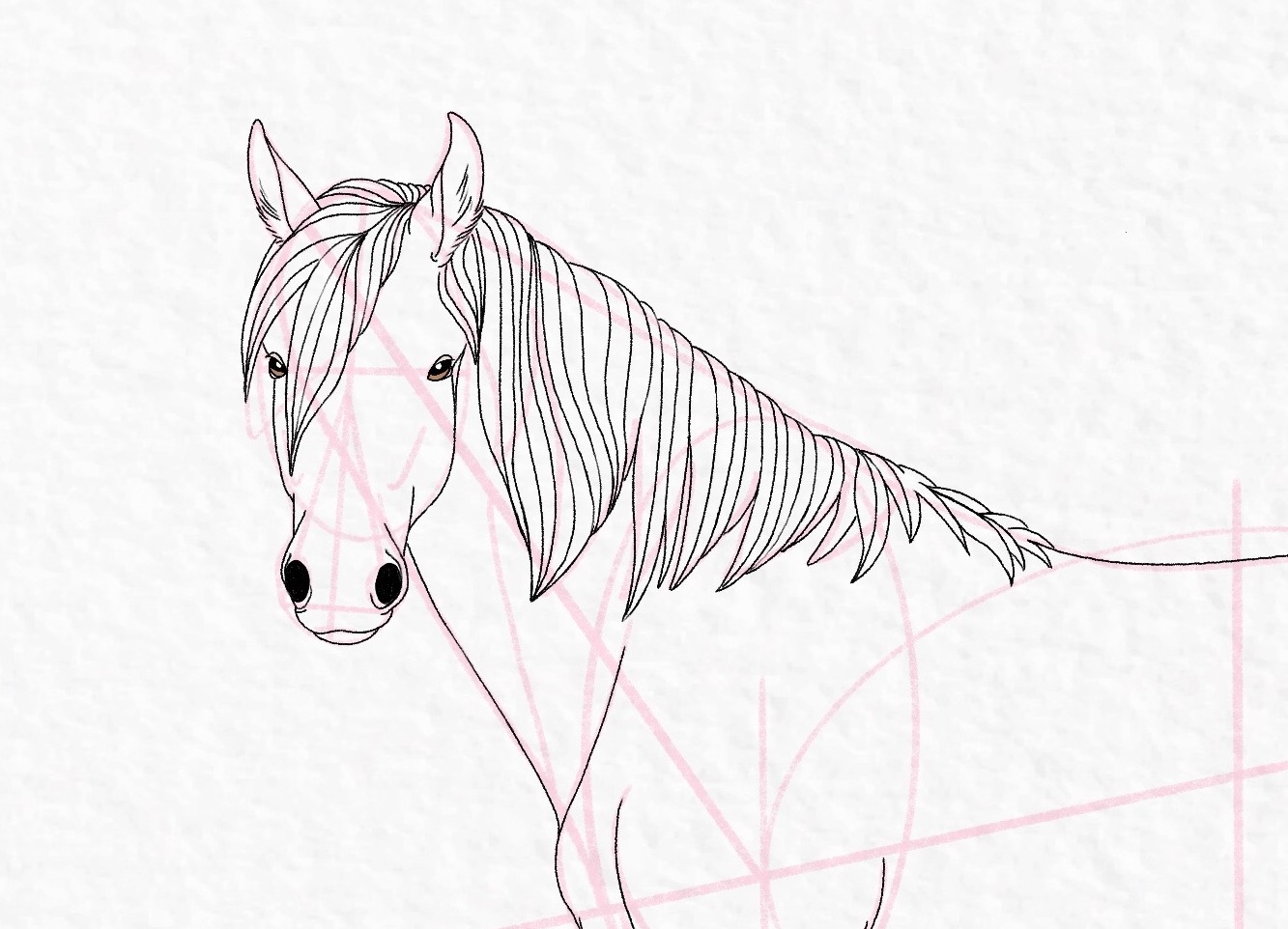 How to draw a horse - step 47
