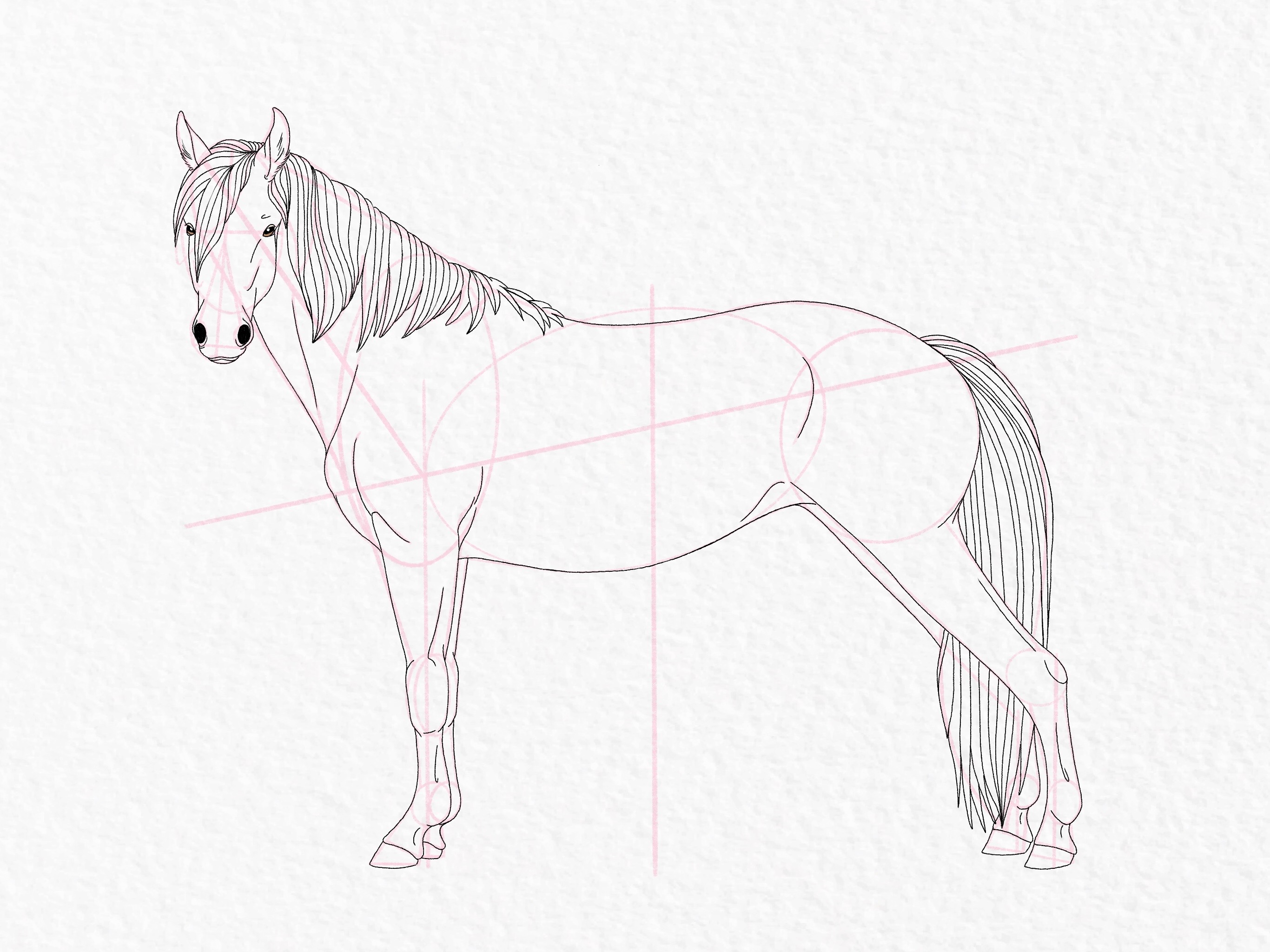 How to draw a horse - step 48a
