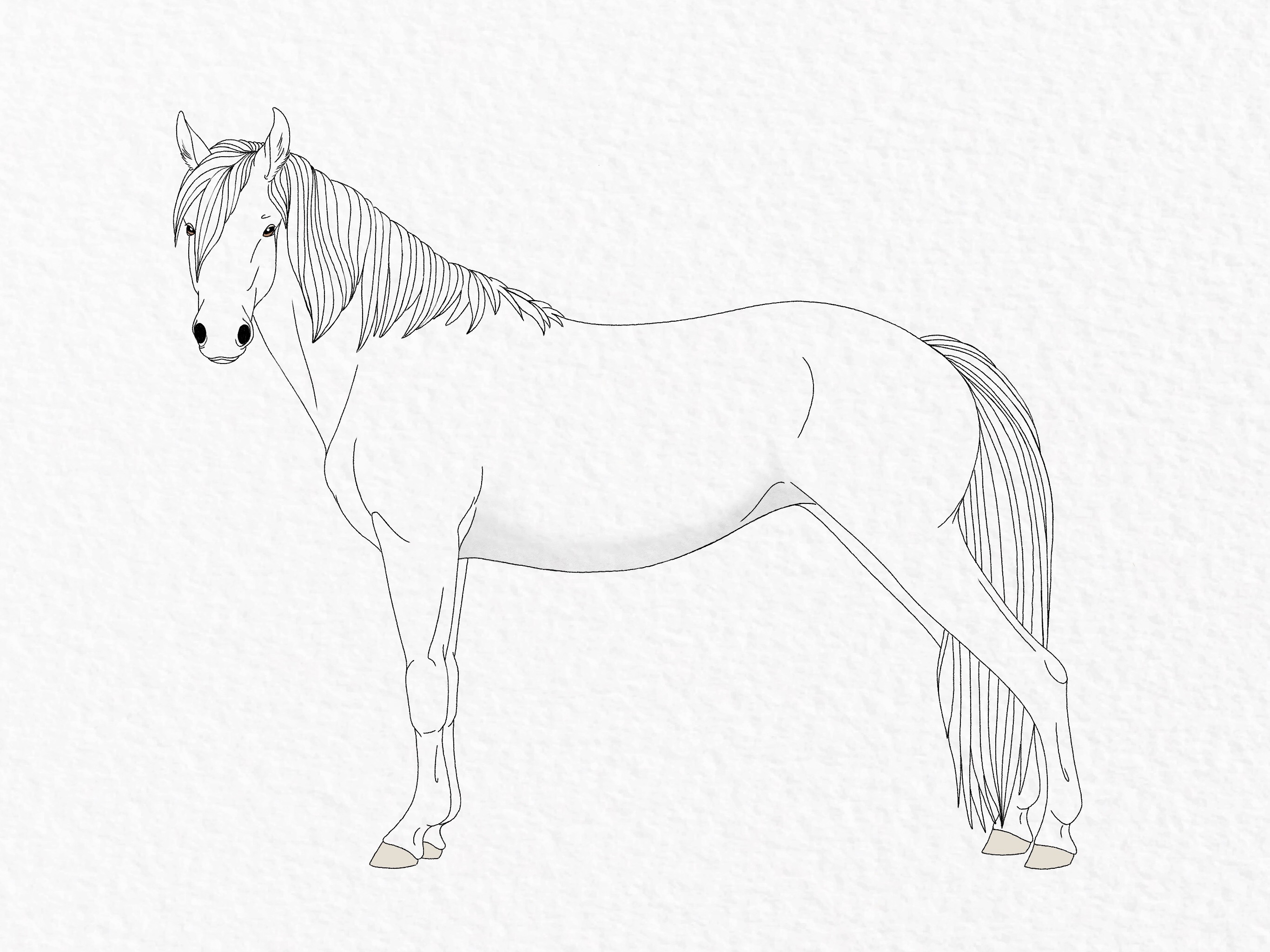 How to draw a horse - step 49b