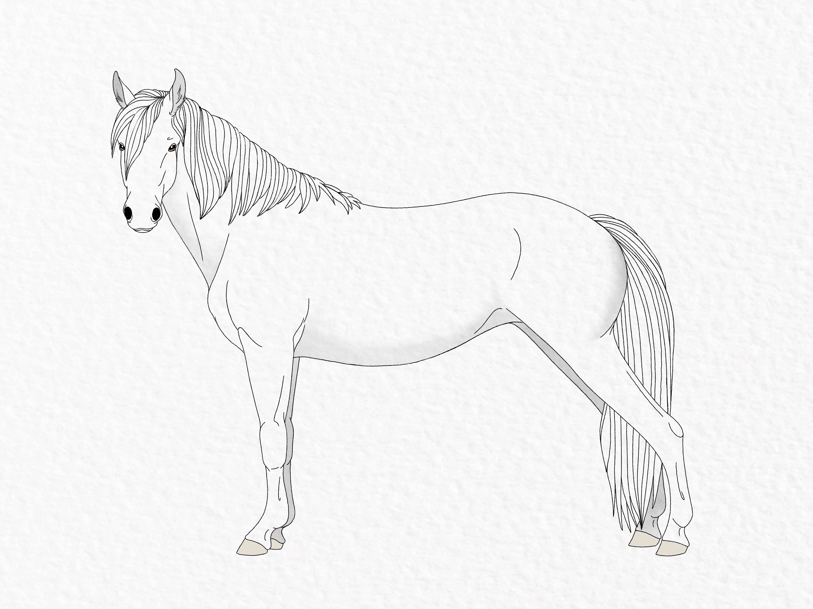 How to draw a horse - step 50