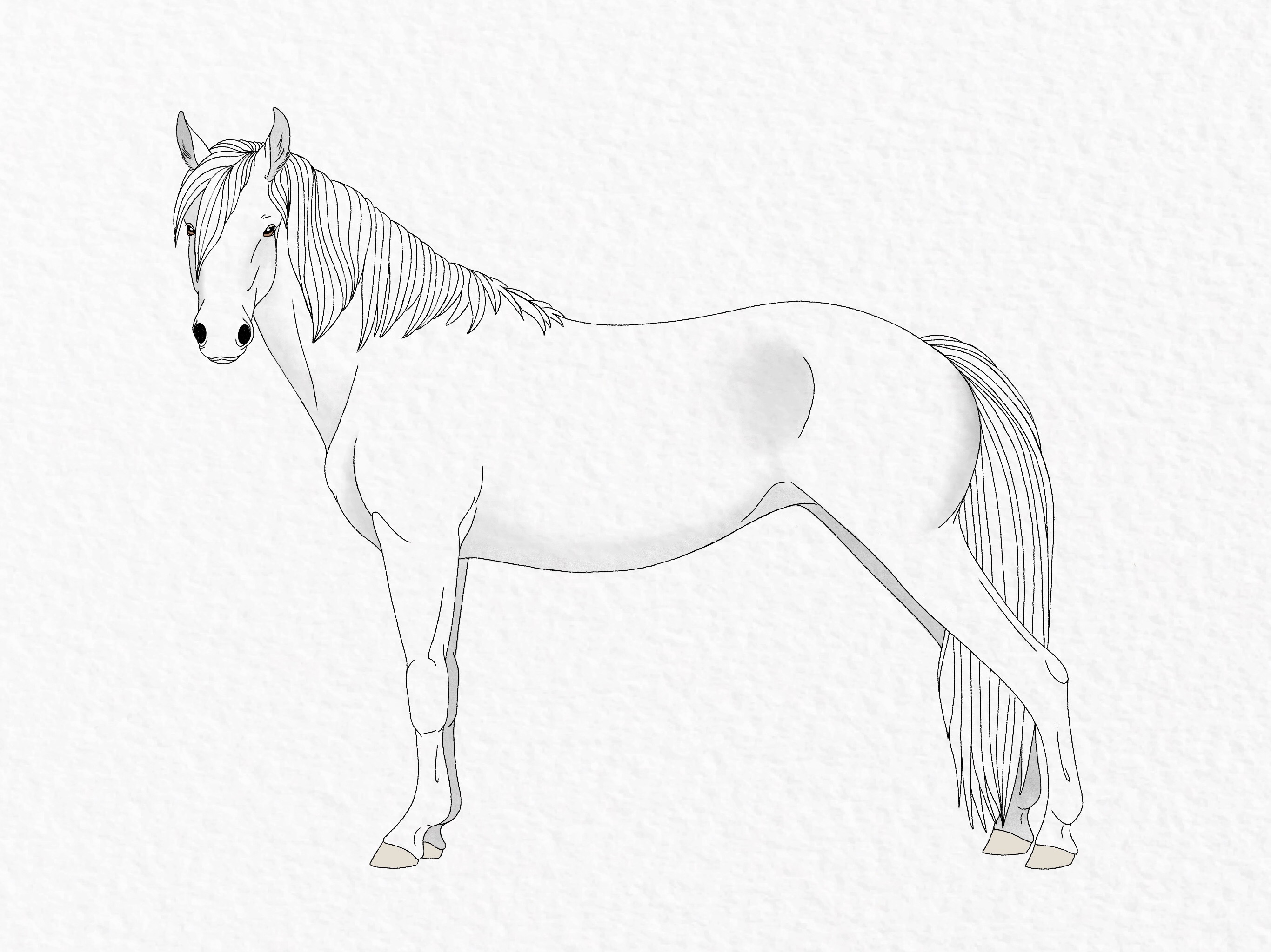 How to draw a horse - step 51