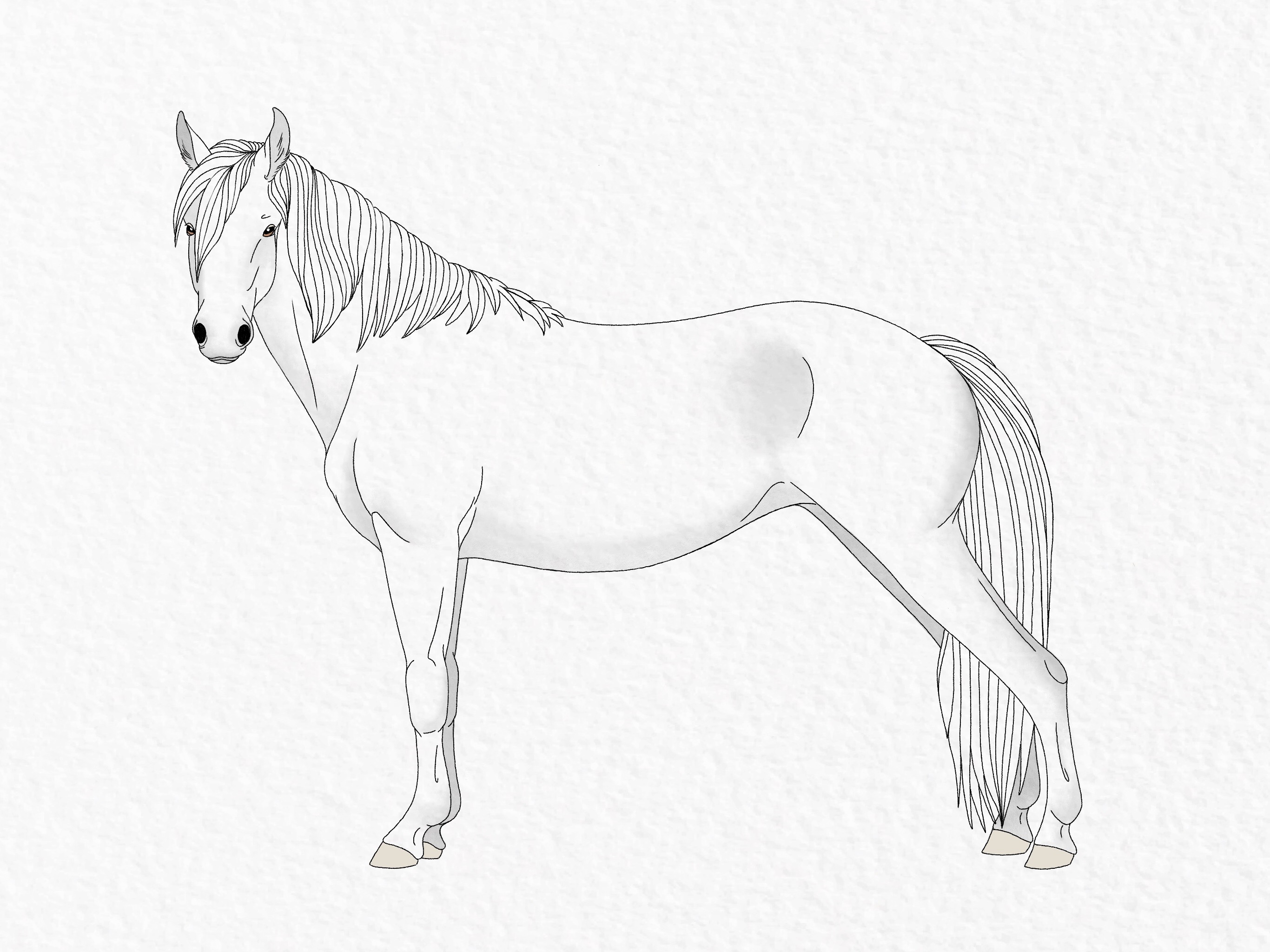 How to draw a horse - step 52