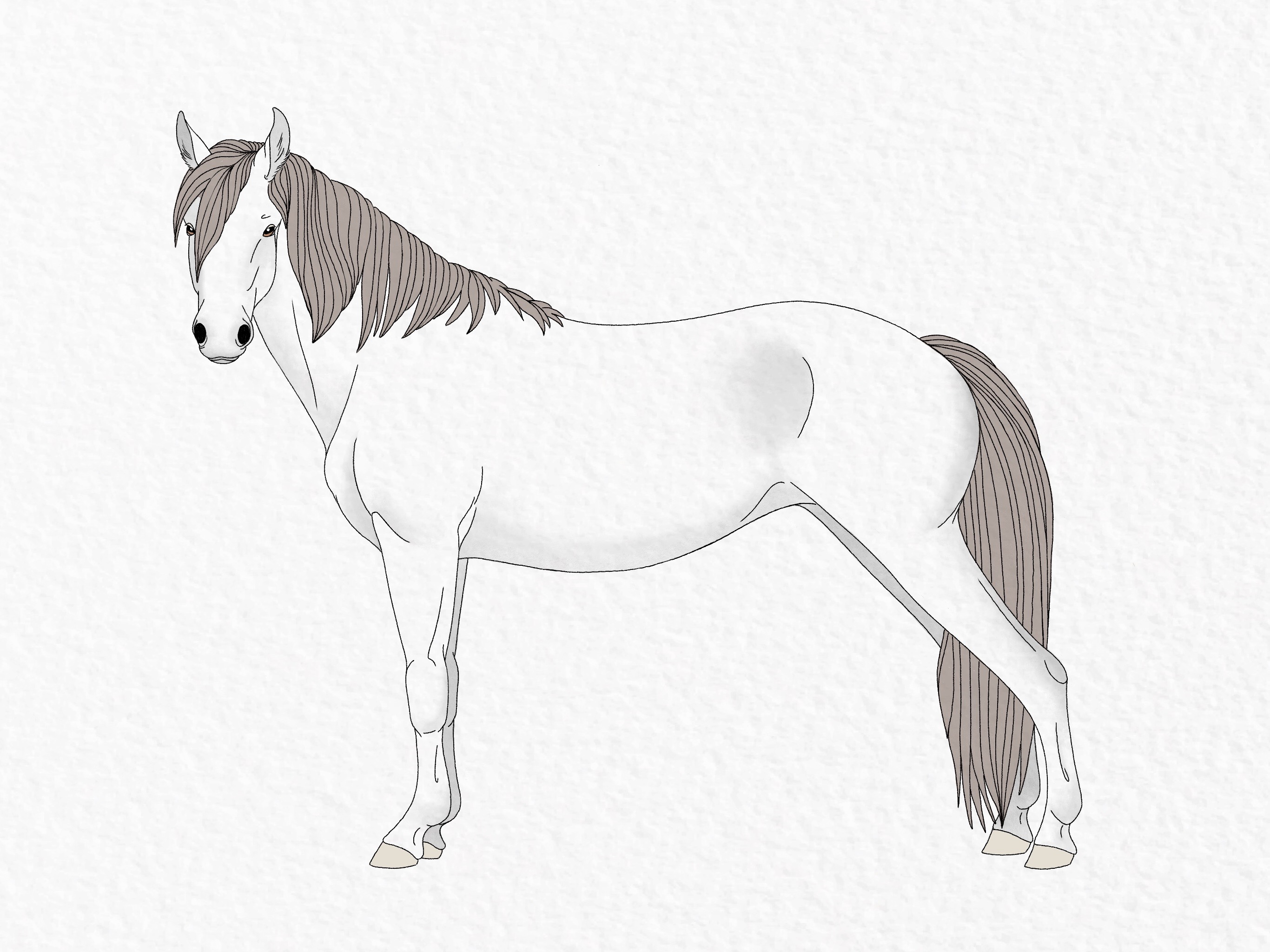 How to draw a horse - step 53