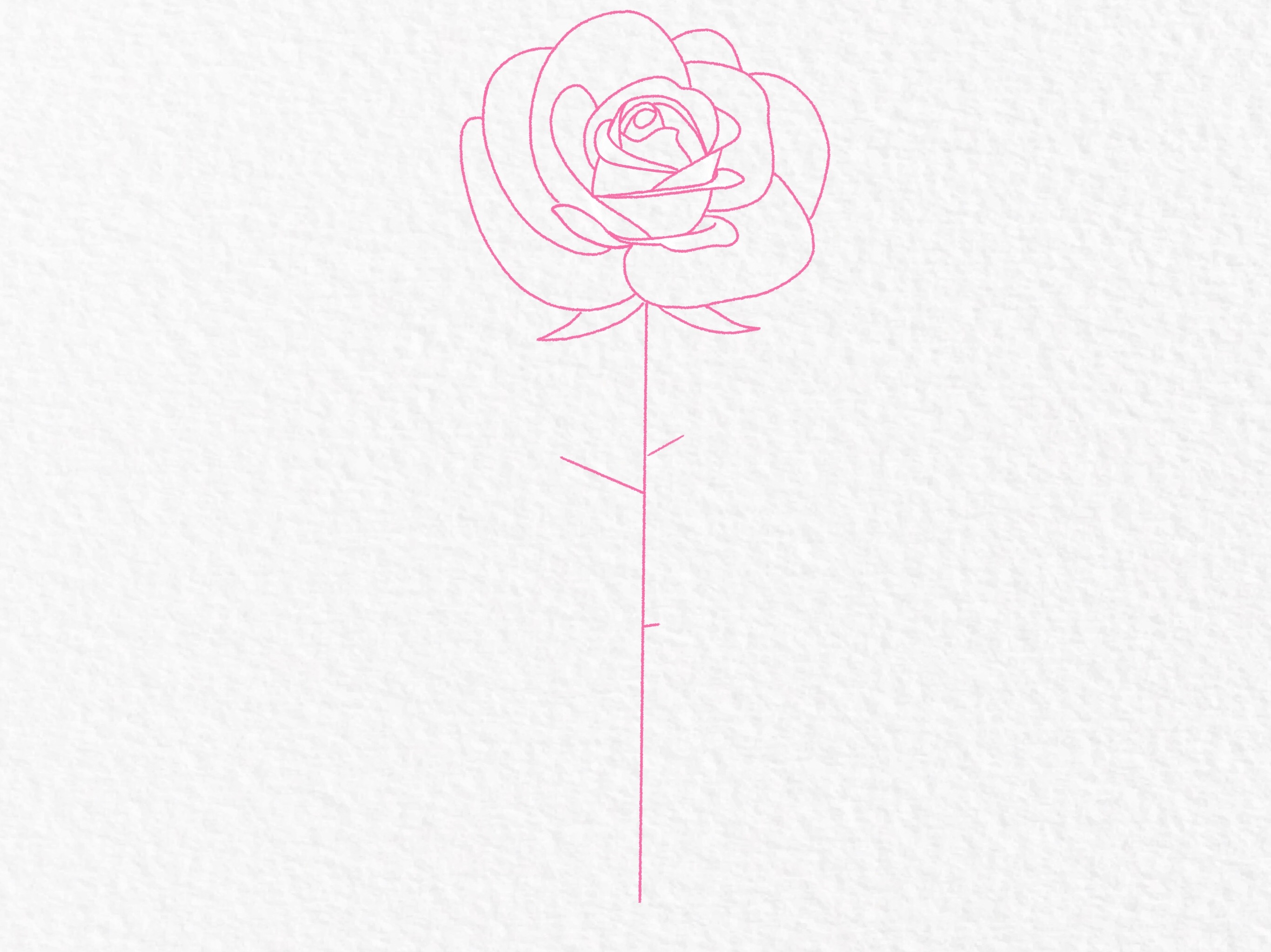 How to draw a rose, step by step drawing tutorial - step 21
