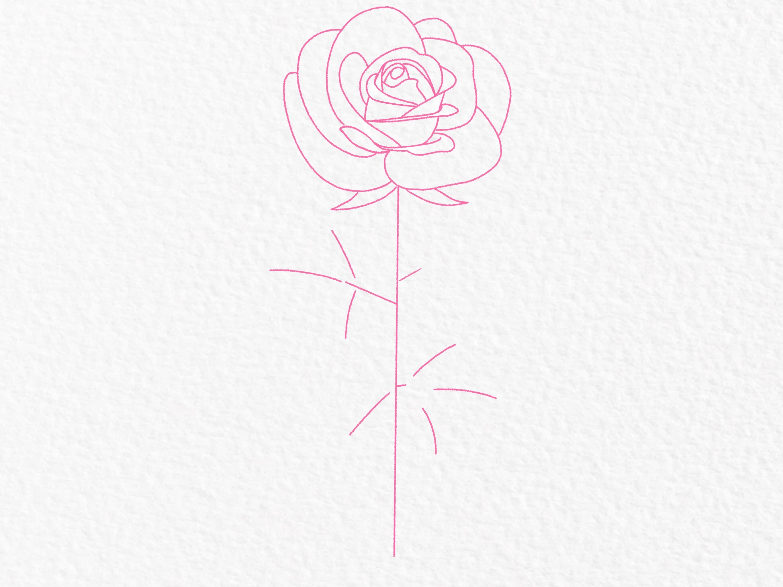 How to draw a rose, step by step drawing tutorial - step 22