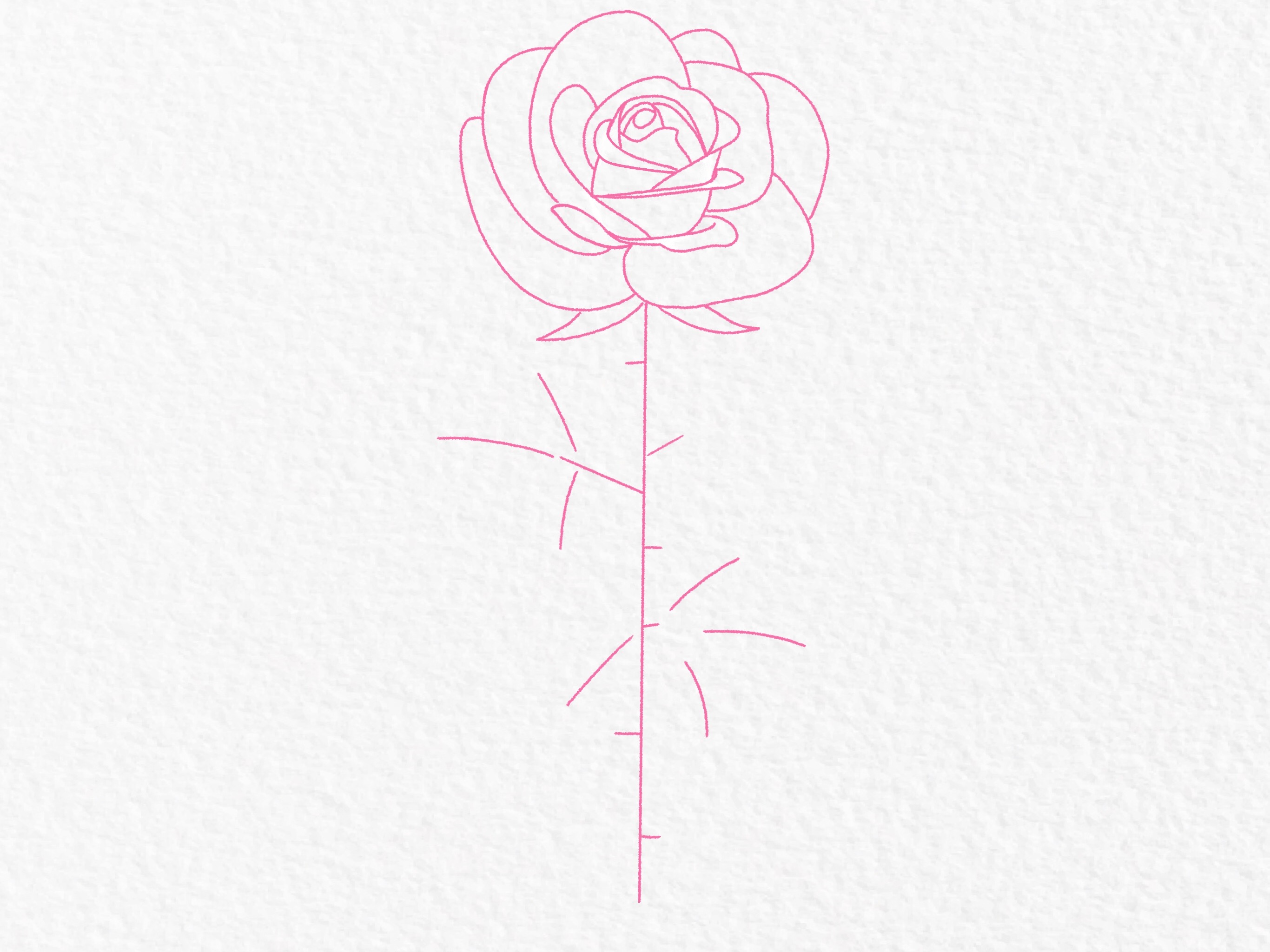 How to draw a rose, step by step drawing tutorial - step 23