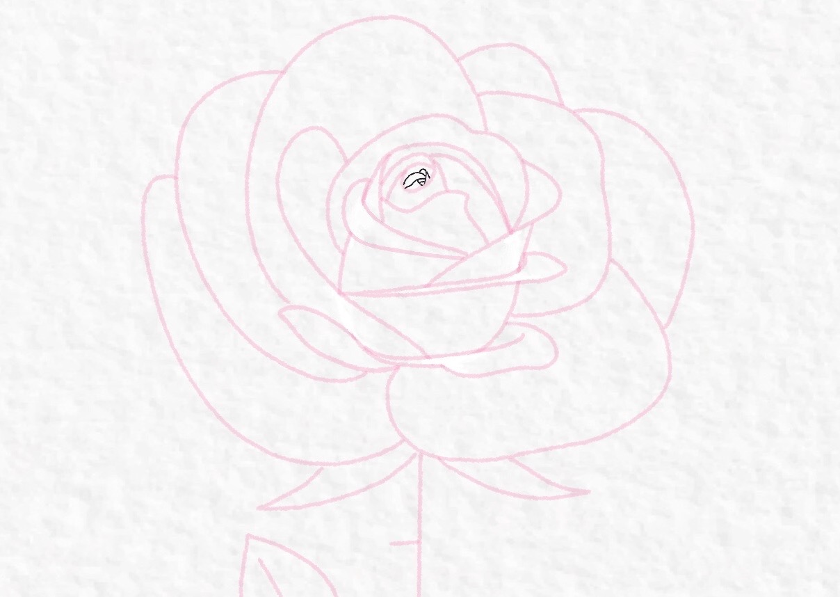 How to draw a rose, step by step drawing tutorial - step 28