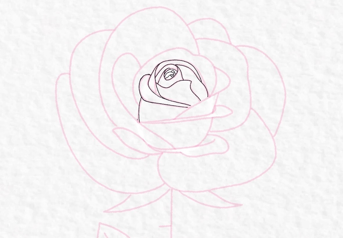 How to draw a rose, step by step drawing tutorial - step 29