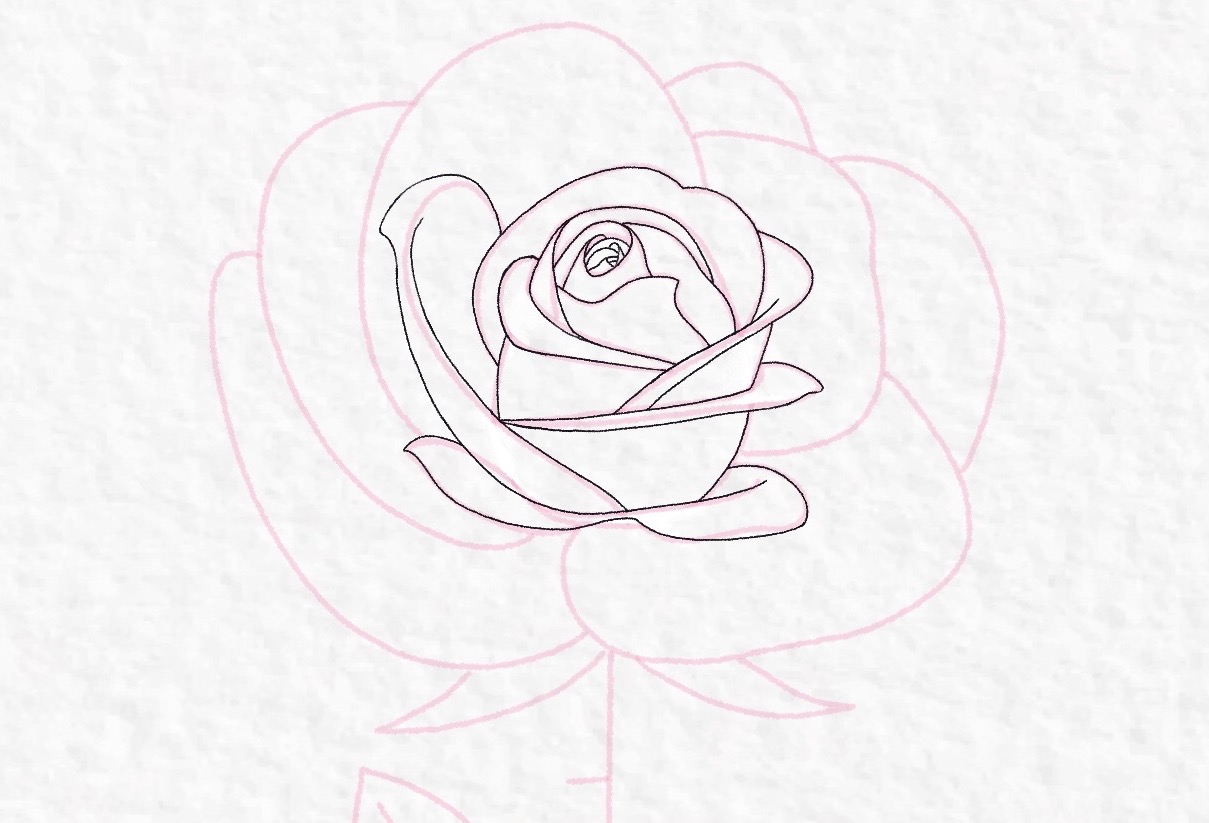 How to draw a rose, step by step drawing tutorial - step 30