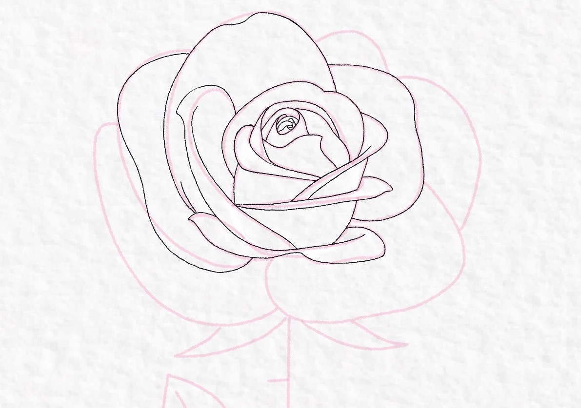 How to draw a rose, step by step drawing tutorial - step 31