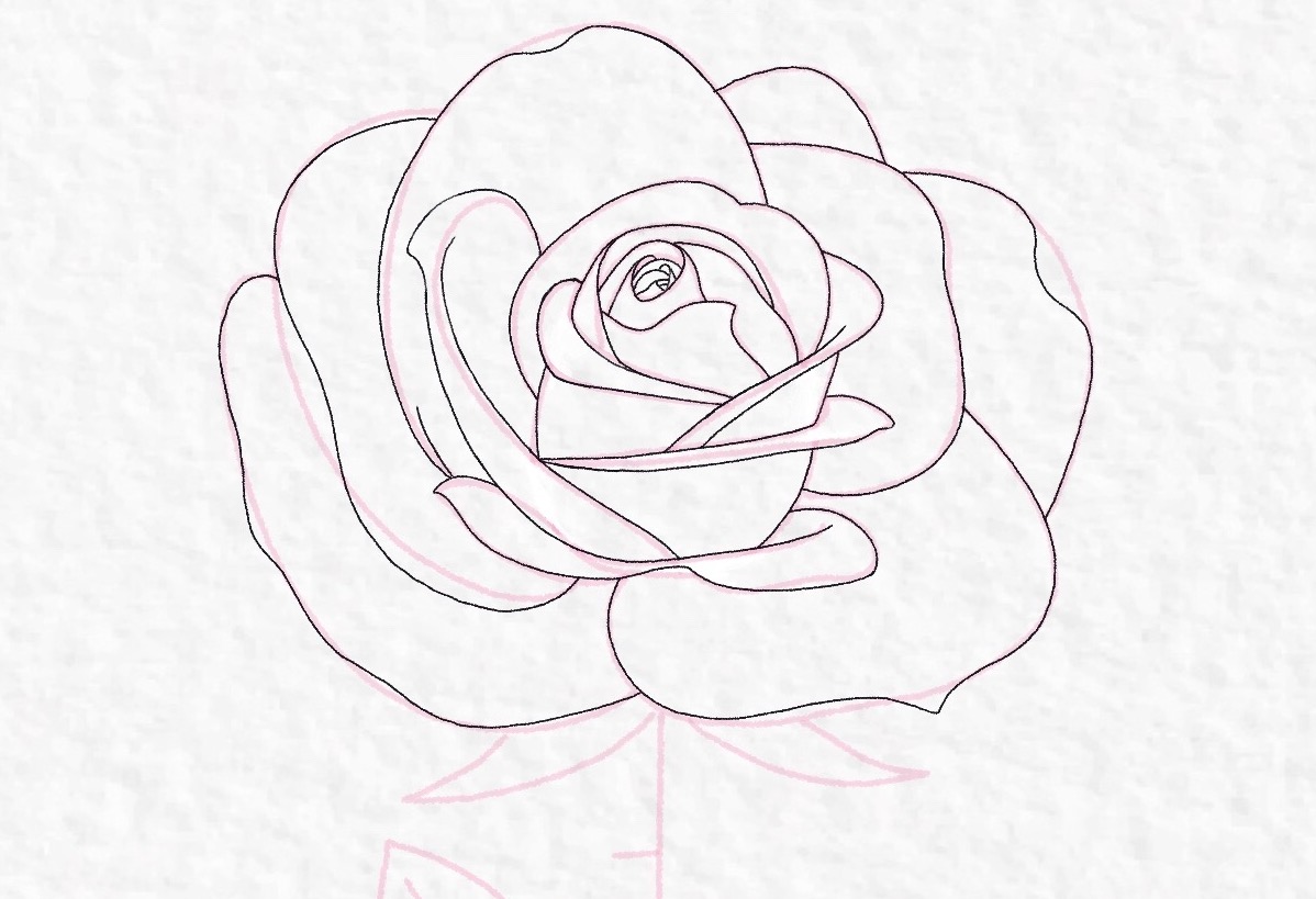 How to draw a rose, step by step drawing tutorial - step 32