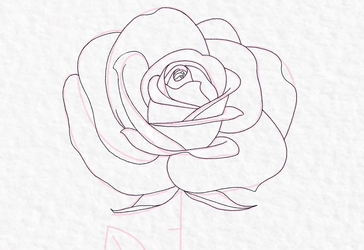 How to draw a rose, step by step drawing tutorial - step 33