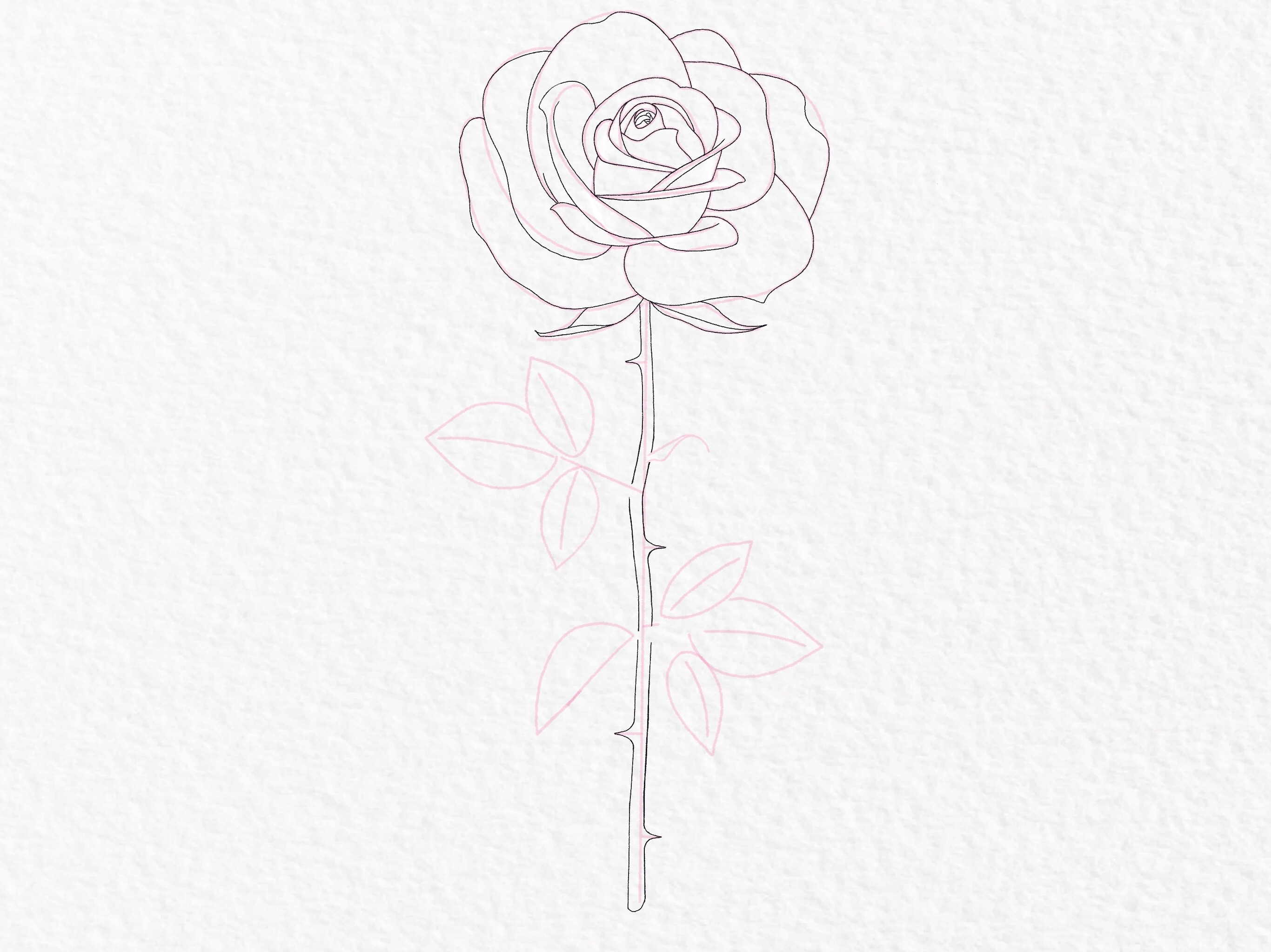 Flower Rose, sketch, painting. Hand drawing. White bud, petals, stem and  leaves. Monochrome, Black and white illustration. Decorative element,  design element, base element of decor, print, tattoo Stock Vector by  ©Eva_Che 100863926