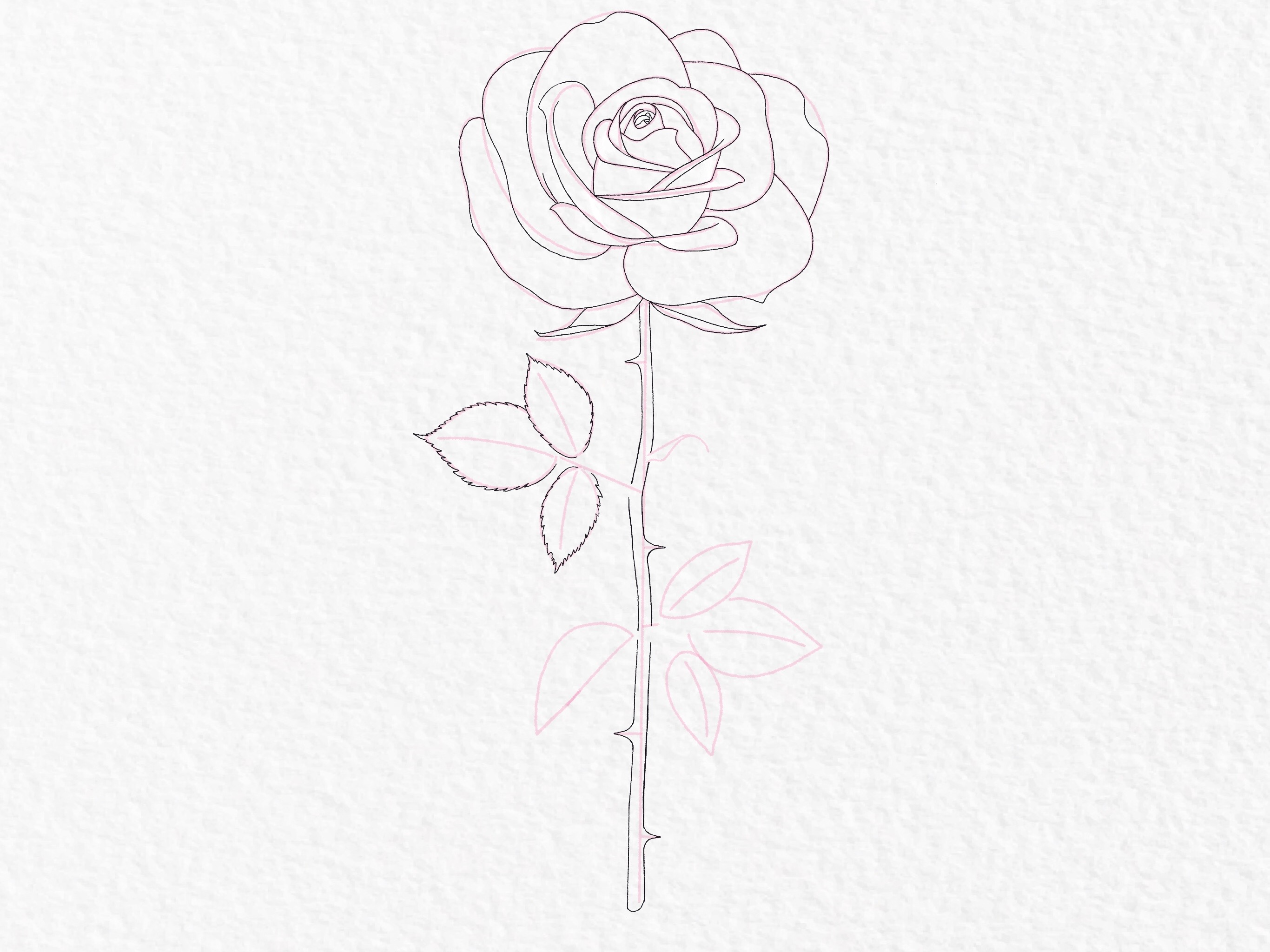 How to draw a rose, step by step drawing tutorial - step 35