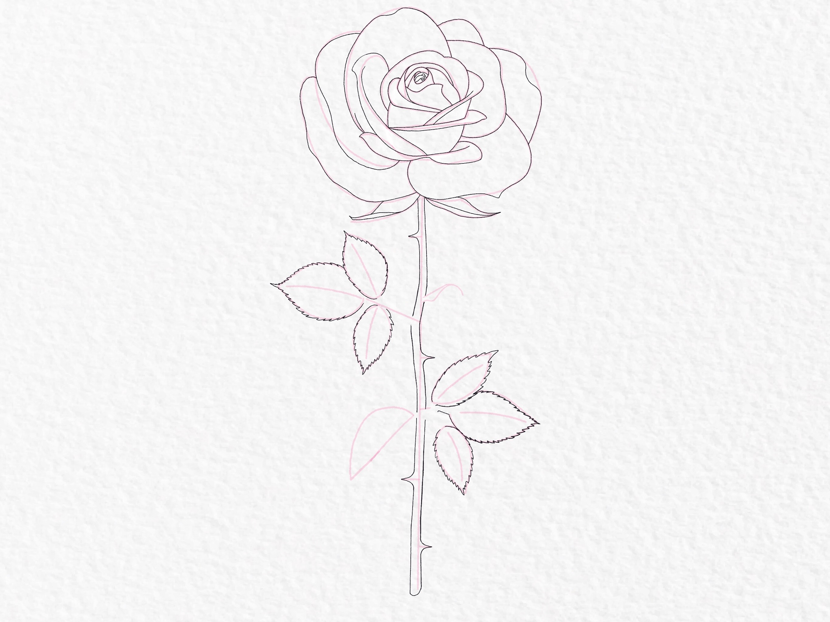How to draw a rose, step by step drawing tutorial - step 36