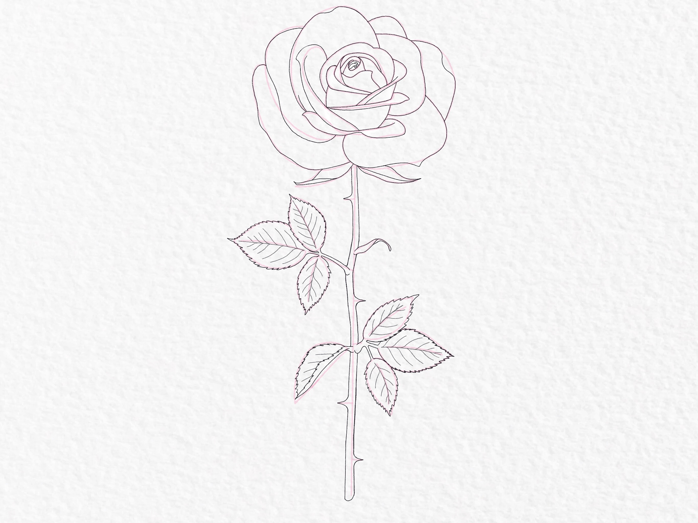 How to draw a rose, step by step drawing tutorial - step 40