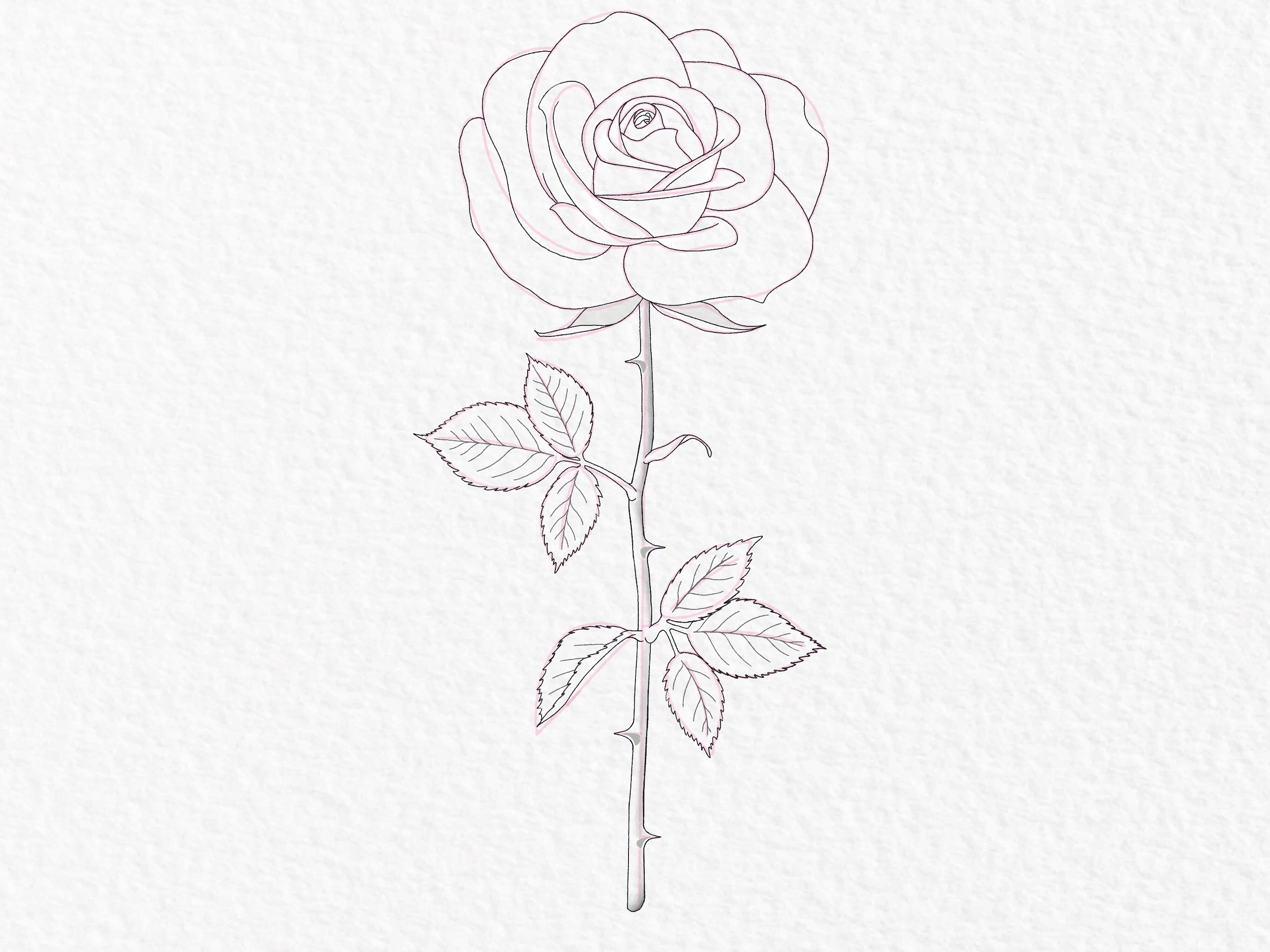 How to draw a rose, step by step drawing tutorial - step 41