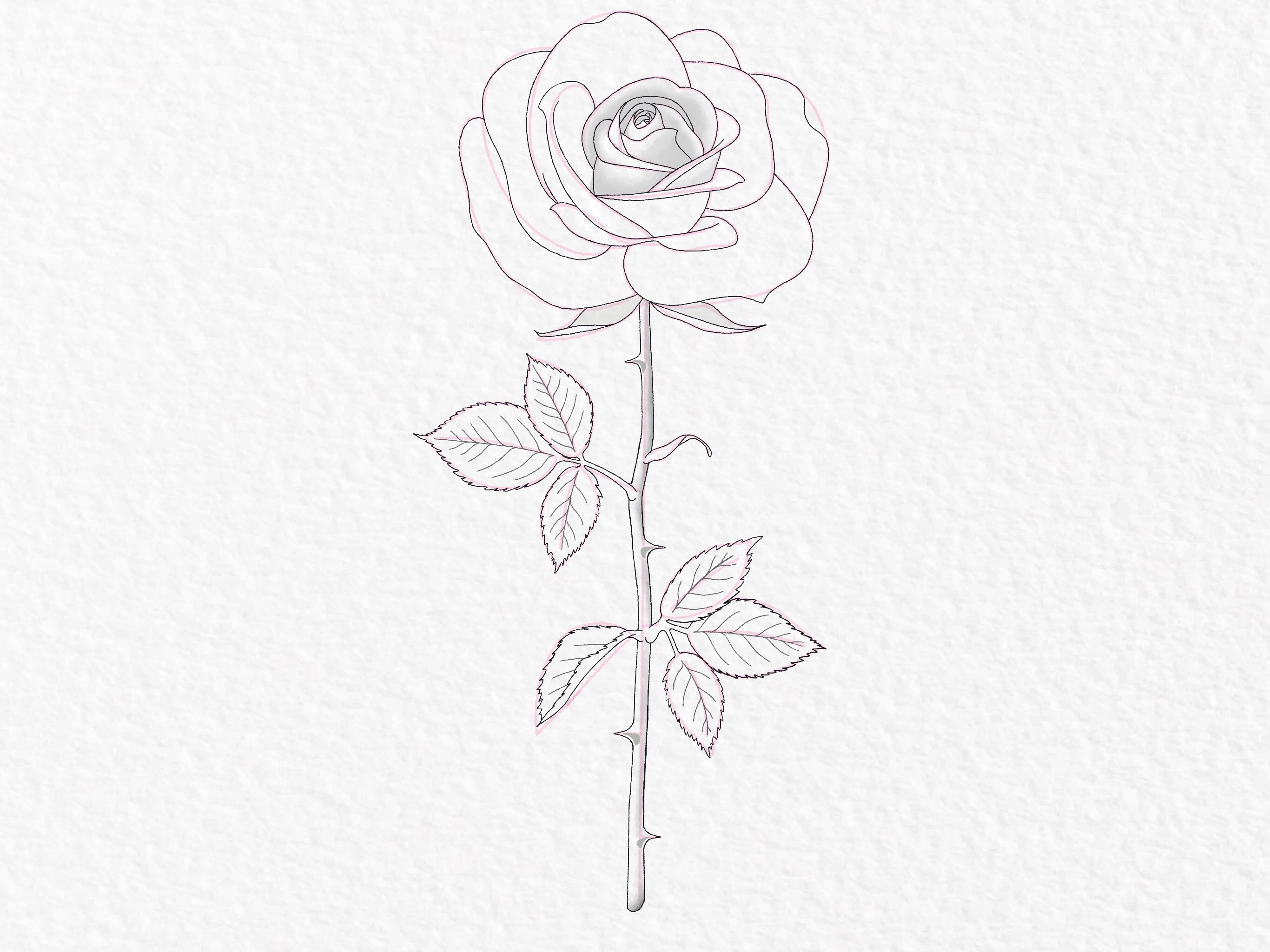 How to draw a rose step by step drawing tutorial step 42 17cf1f8