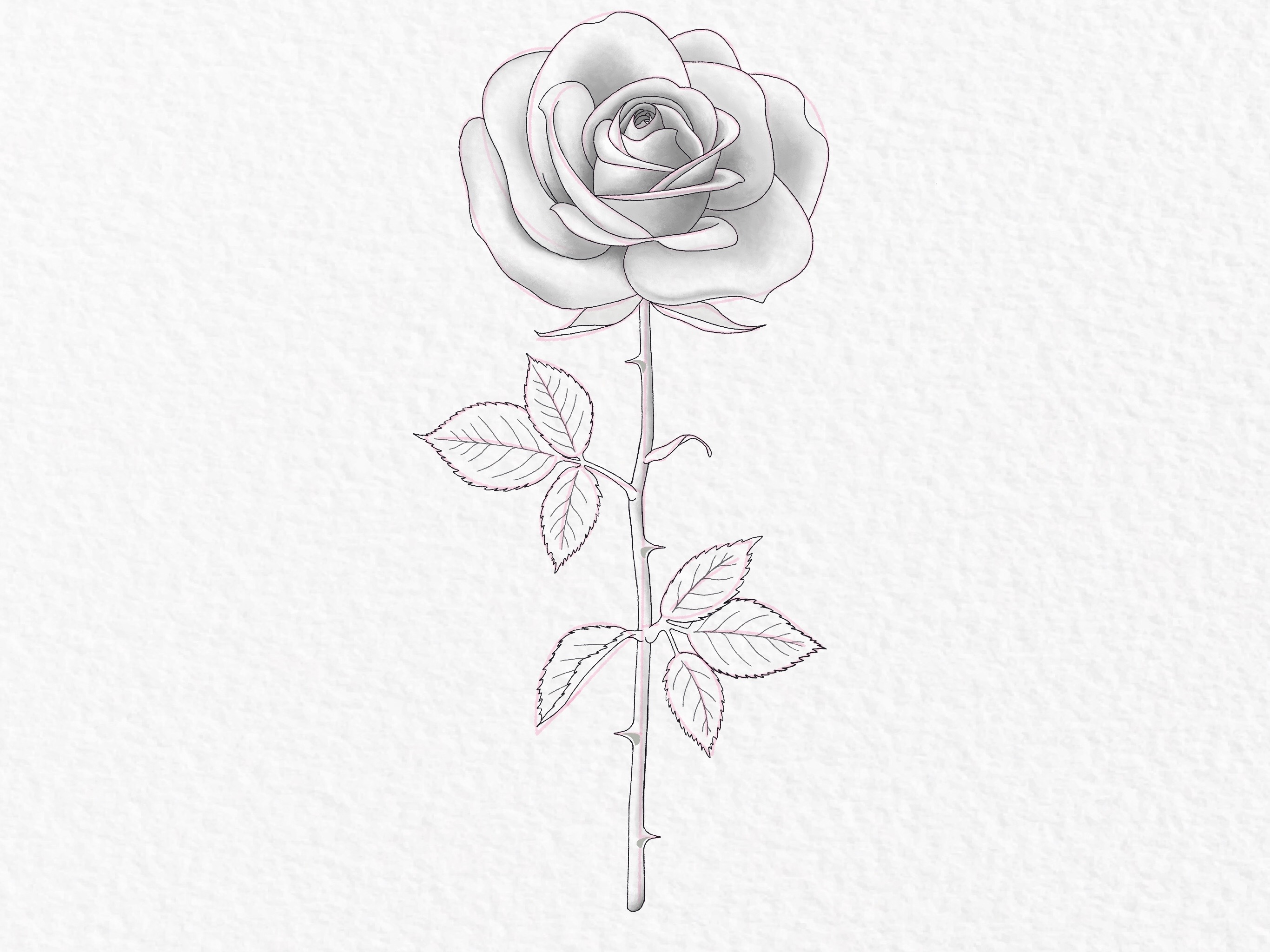 How to draw a rose, step by step drawing tutorial - step 45