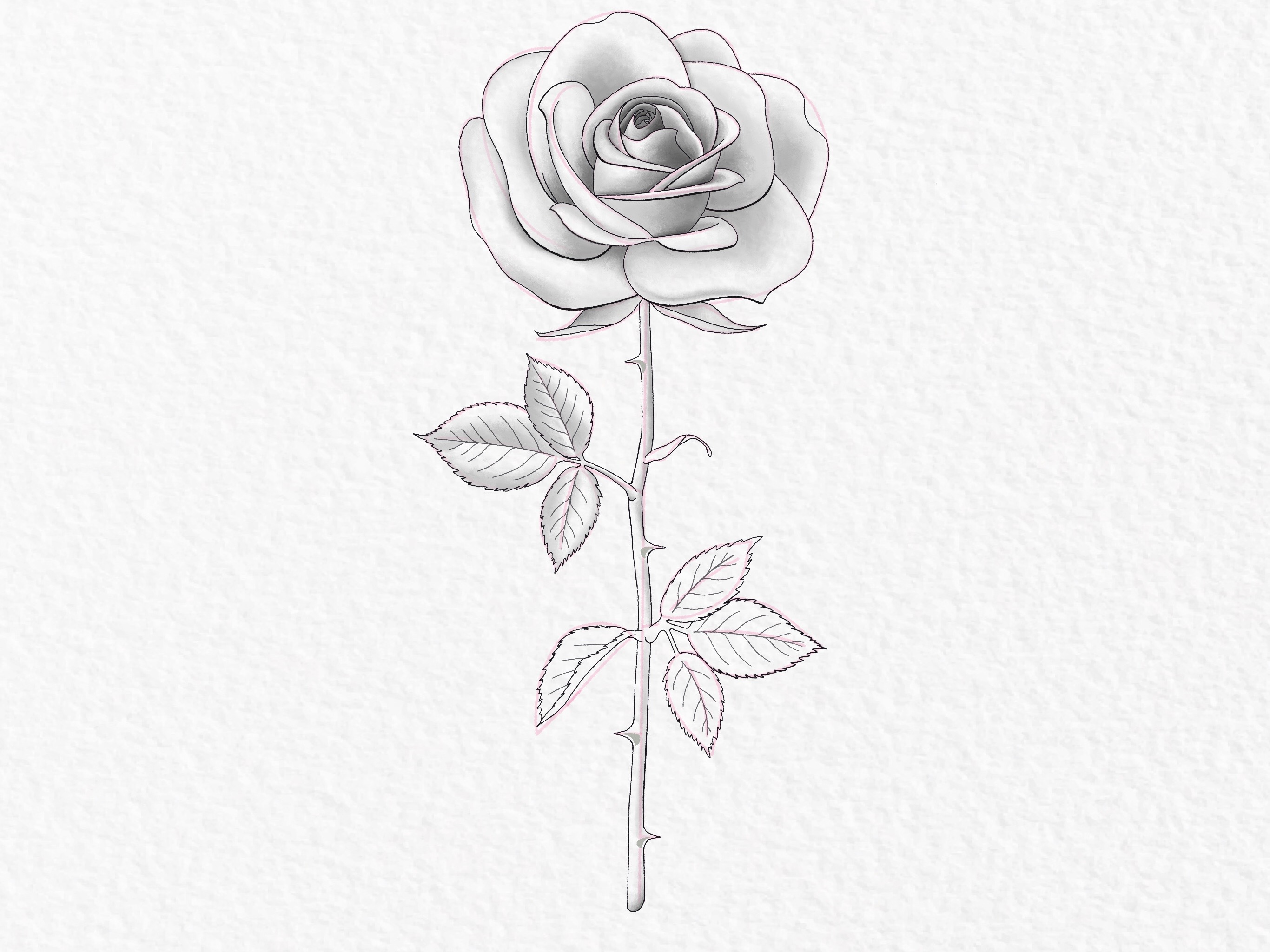 How to draw a rose, step by step drawing tutorial - step 48