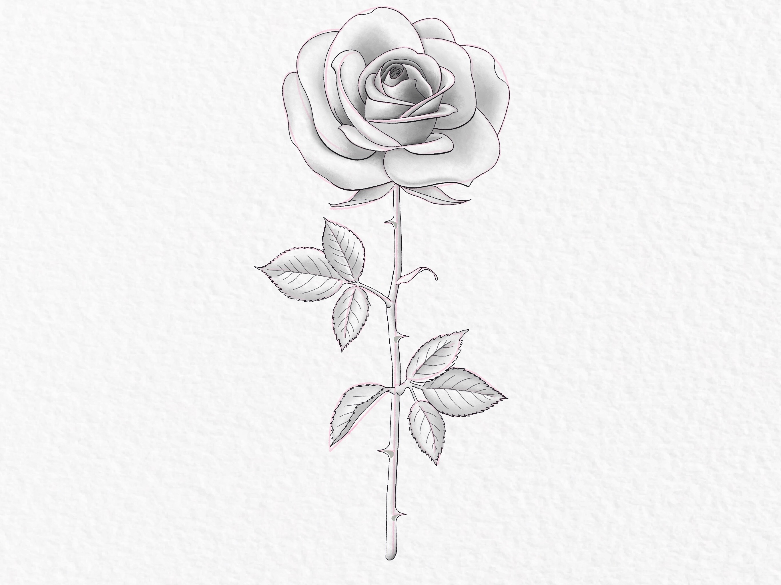 How to draw a rose step by step drawing tutorial step 49 2ef763c