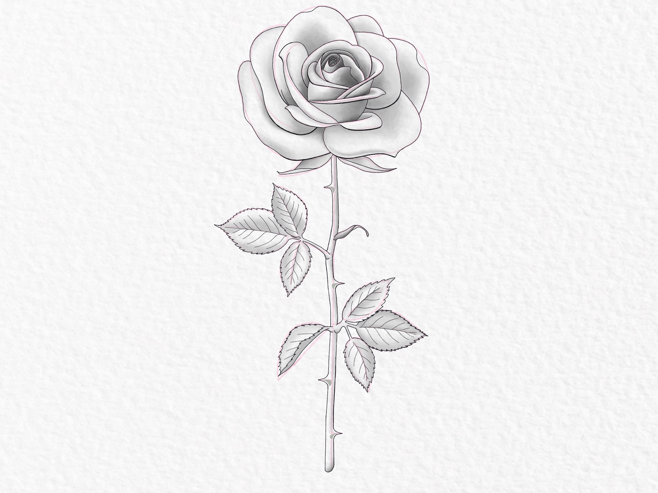 Rose Sketch Tattoo Design - Tattapic®