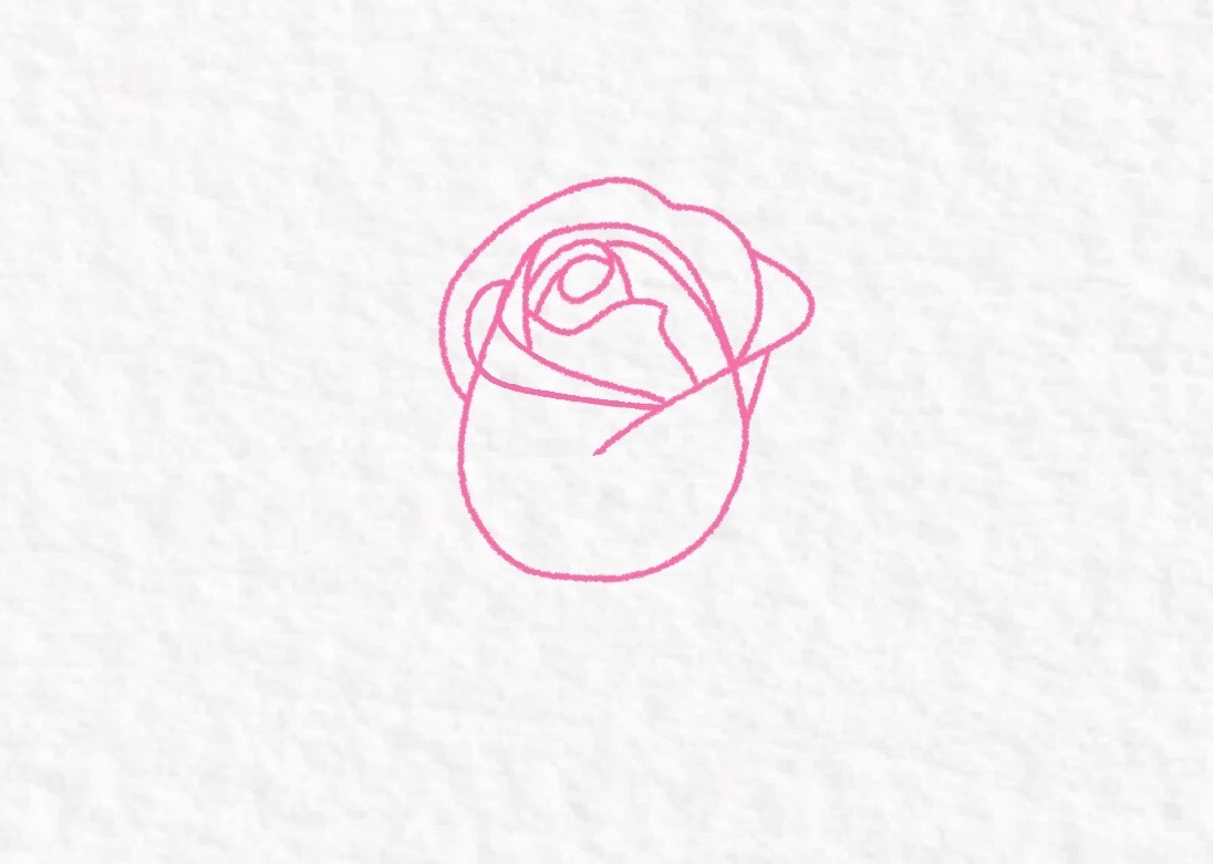 How to draw a rose, step by step drawing tutorial – step 8