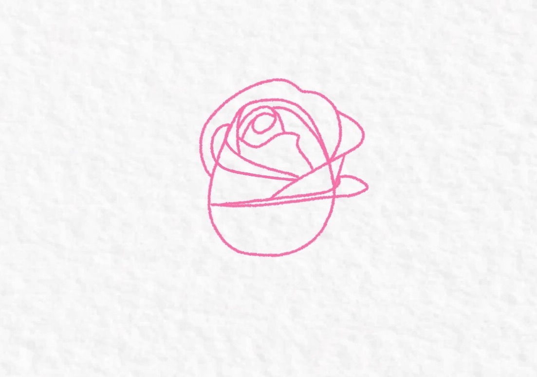 How to draw a rose, step by step drawing tutorial – step 9