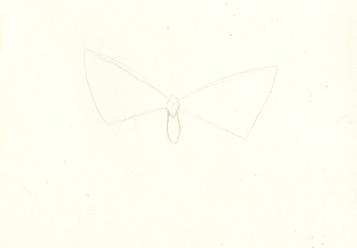 Flying Butterfly Drawings Images & Pictures | Disegno di fiori, Disegno  fiori, Disegni da ricamo a mano