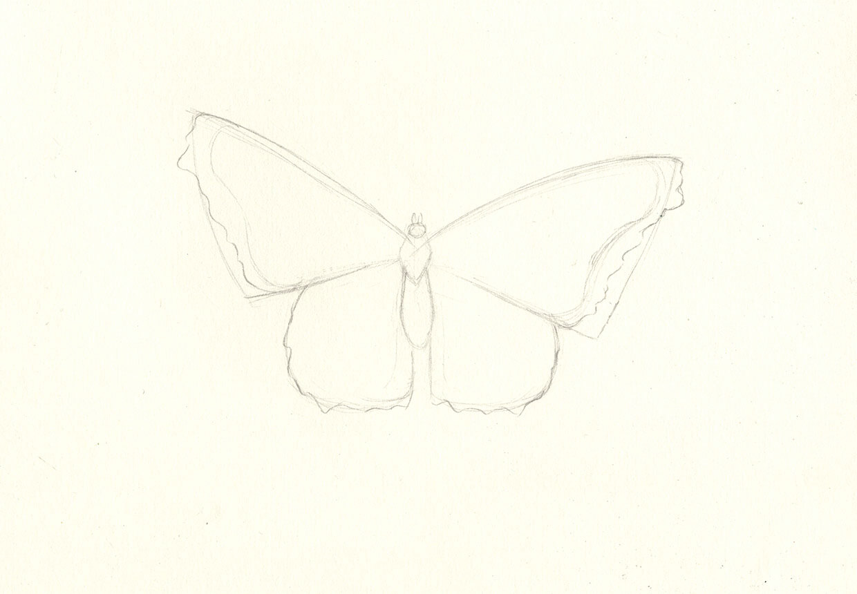 Step 6 – sketching the wing details