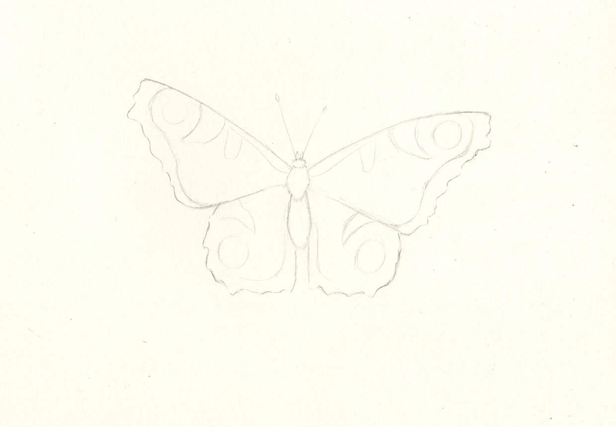 A girl with Butterfly in Moonlight Drawing || Pencil sketch drawing-vinhomehanoi.com.vn
