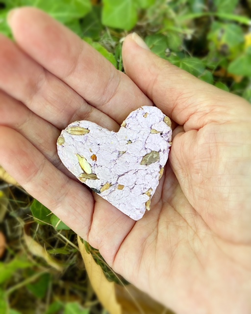 heart paper seed bombs