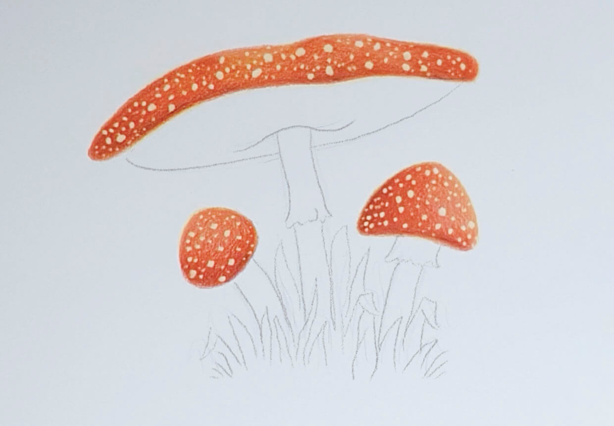 HD mushroom drawing wallpapers | Peakpx